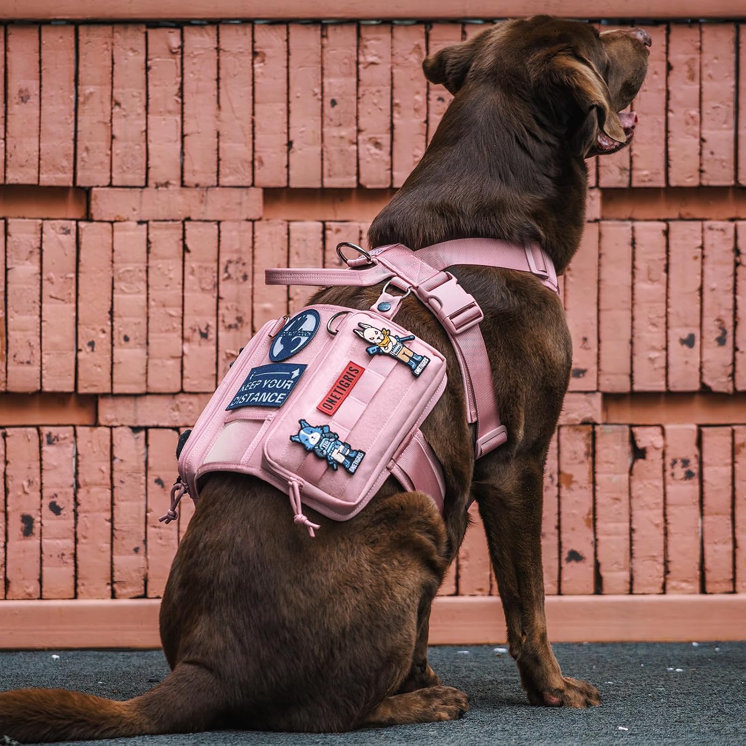 Thumbnail 6 de OneTigris Harnais Guardian pour chien M - rose, 3 anneaux en D inoxydable, poche MOLLE et grande capacité