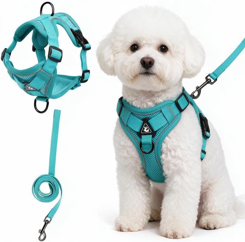 Detalle de Cat and Small Dog Harness and Leash Set, XL