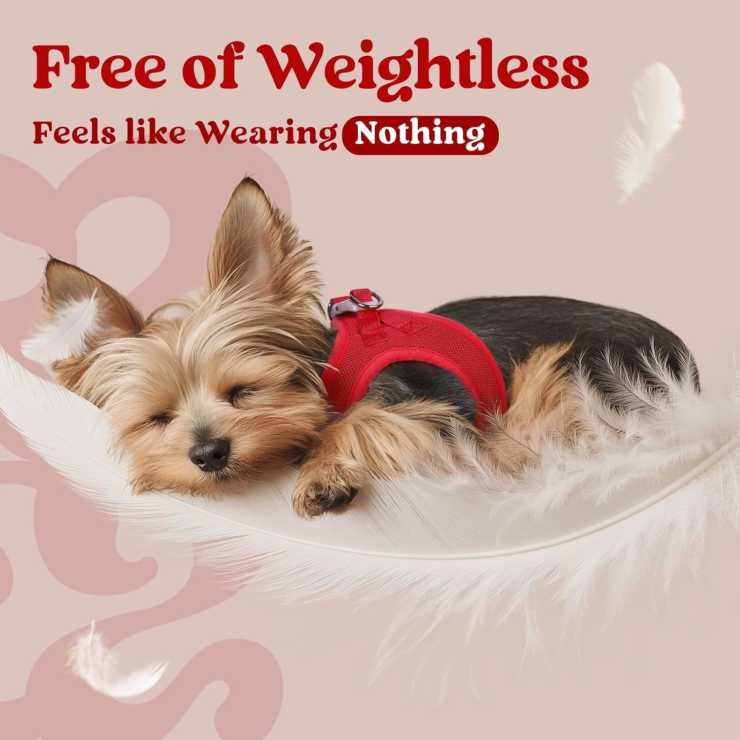 Thumbnail 4 de rabbitgoo Small Dog Harness: Step-In Soft Mesh Vest in Red