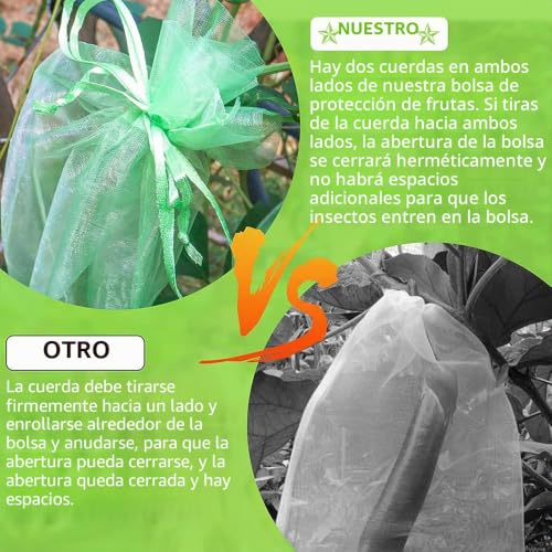 Thumbnail 2 de Bolsas de Protección para Uvas 20 x 30 cm – 100 unidades de RURIZHONGTIAN