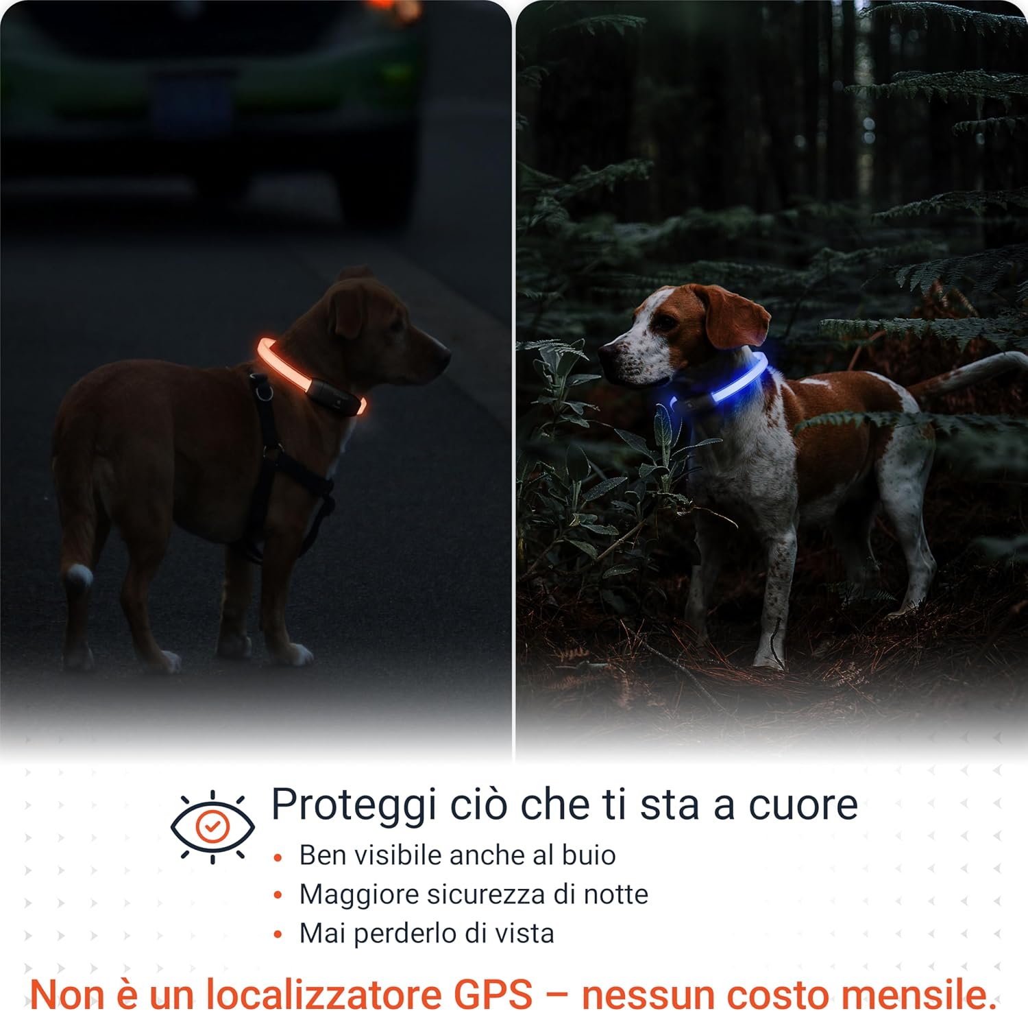 Detalle 2 de PAJ LIGHT collare luminoso 20-70 cm 🐕