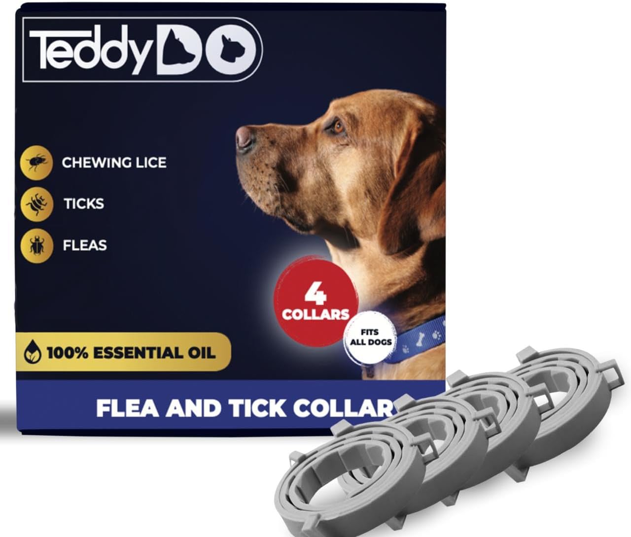 Detalle de TeddyDo 4 Pack Collar 32 Months