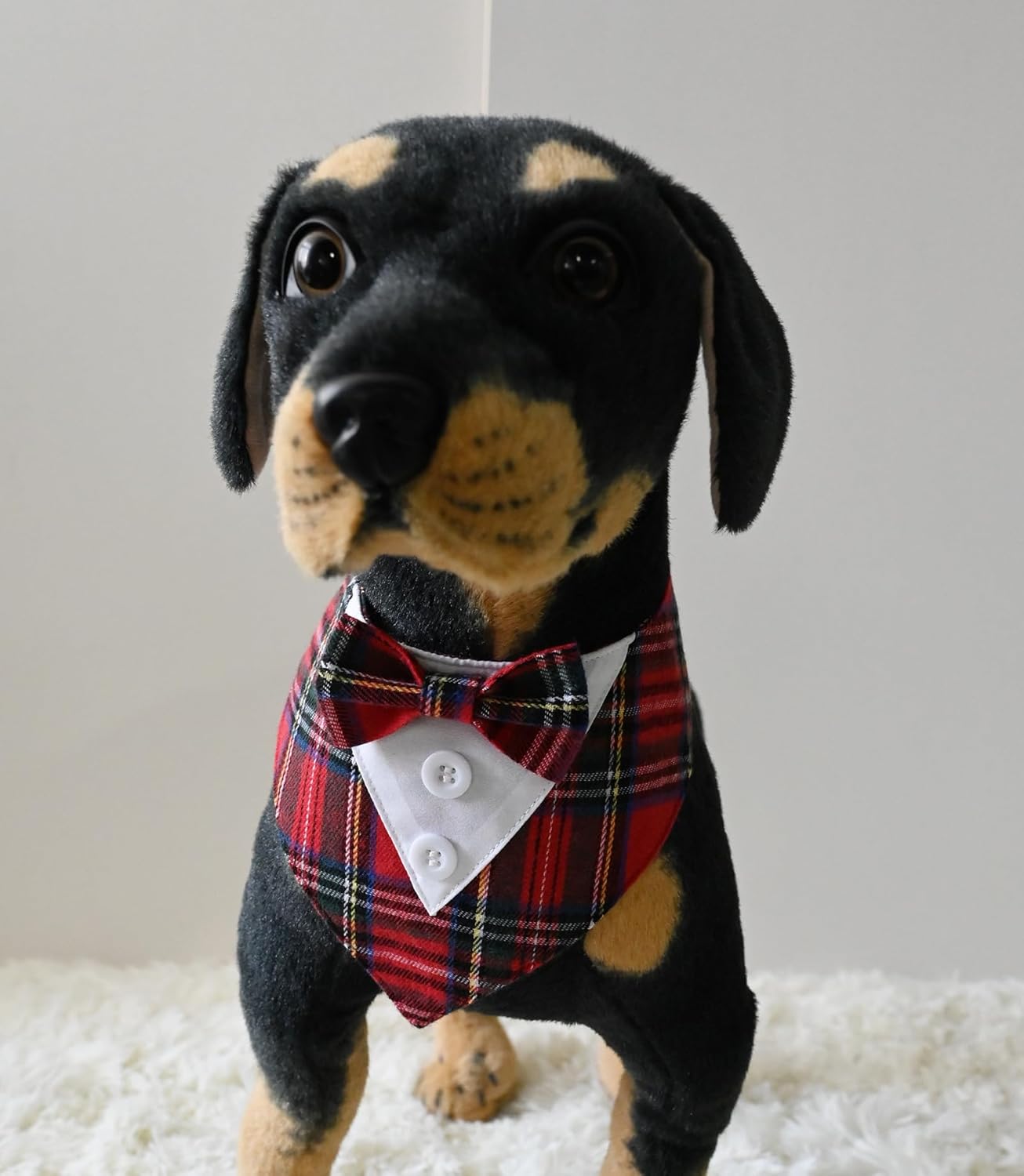 Detalle de BT Bear Pet Tuxedo Collar Bandana – Red, Size M