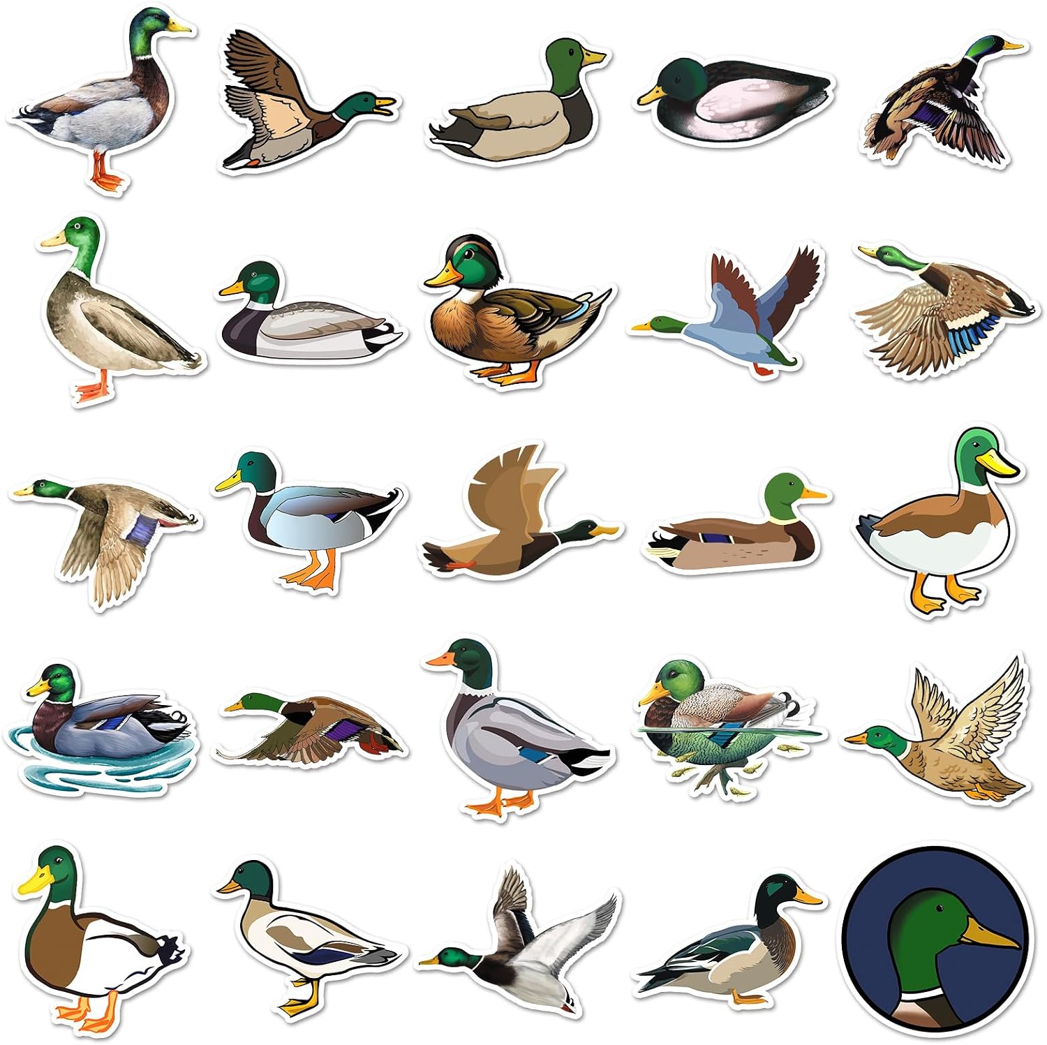 Thumbnail 3 de Duck Vinyl Stickers, 50-Piece Set
