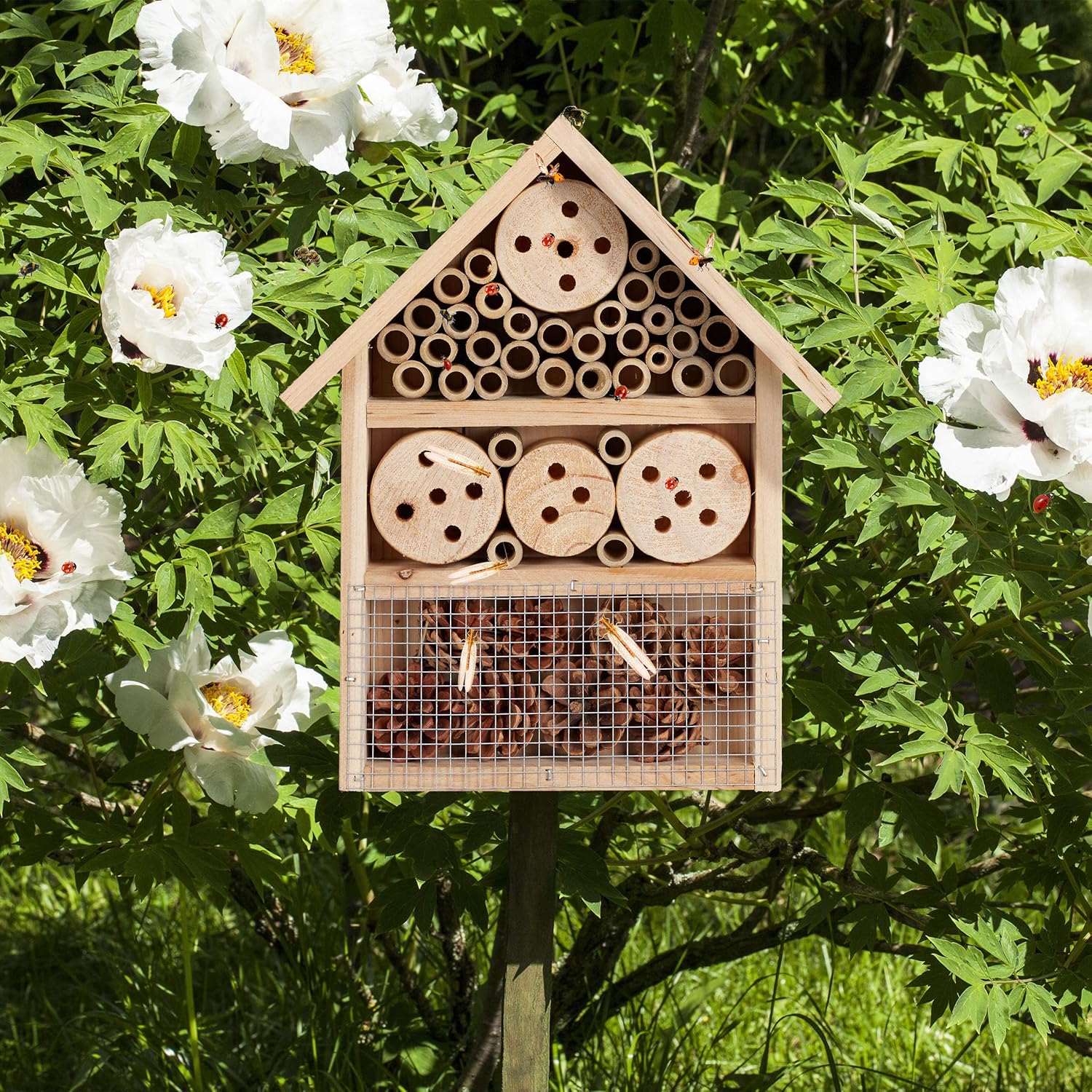 Thumbnail 1 de Relaxdays Insect Hotel Assembly Kit (DIY) for Bugs, Bees & Lacewings, 33 x 24.5 x 7 cm