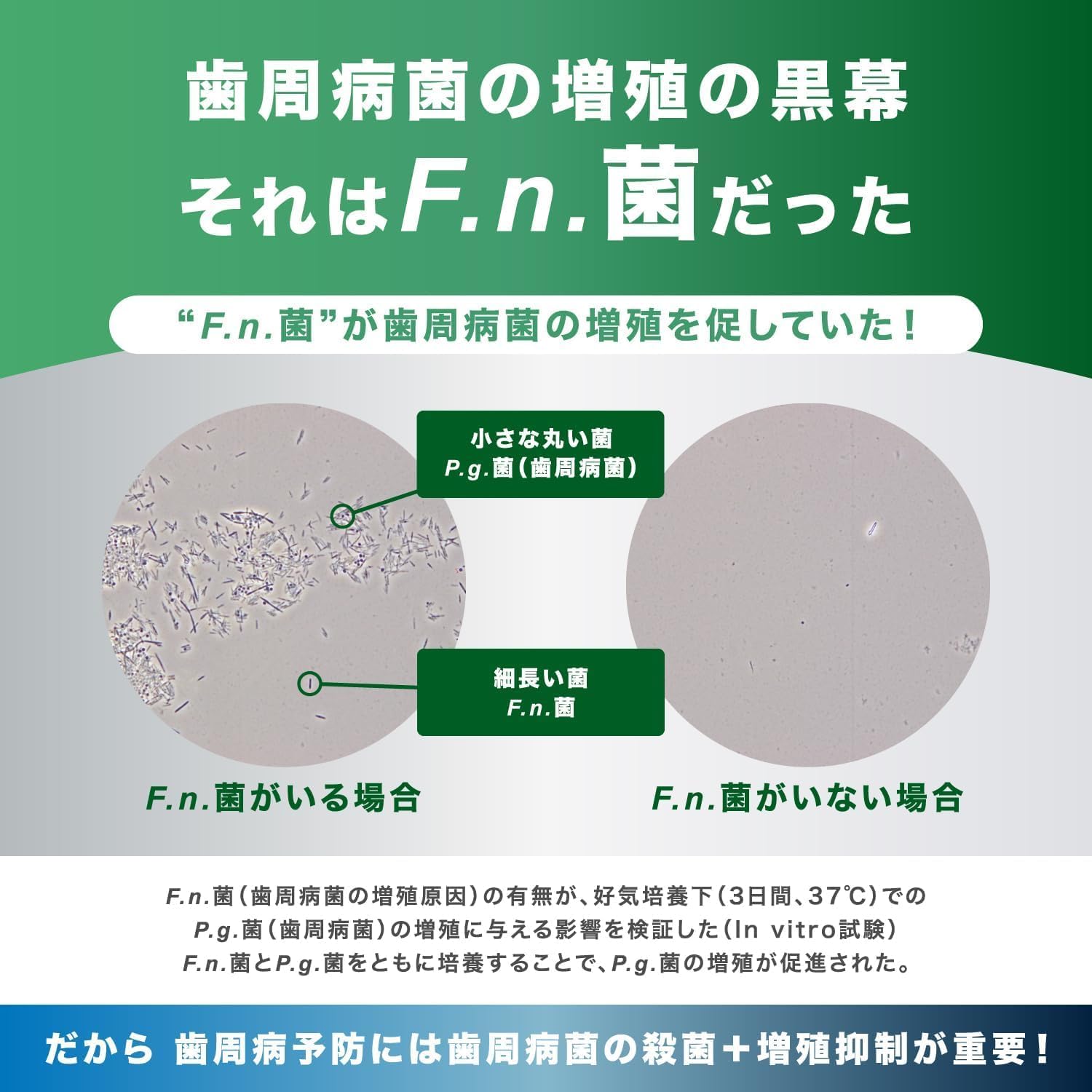 Detalle de GUM(ガム)プラス デンタルペースト ハーブミント 120g×2個+おまけ付き