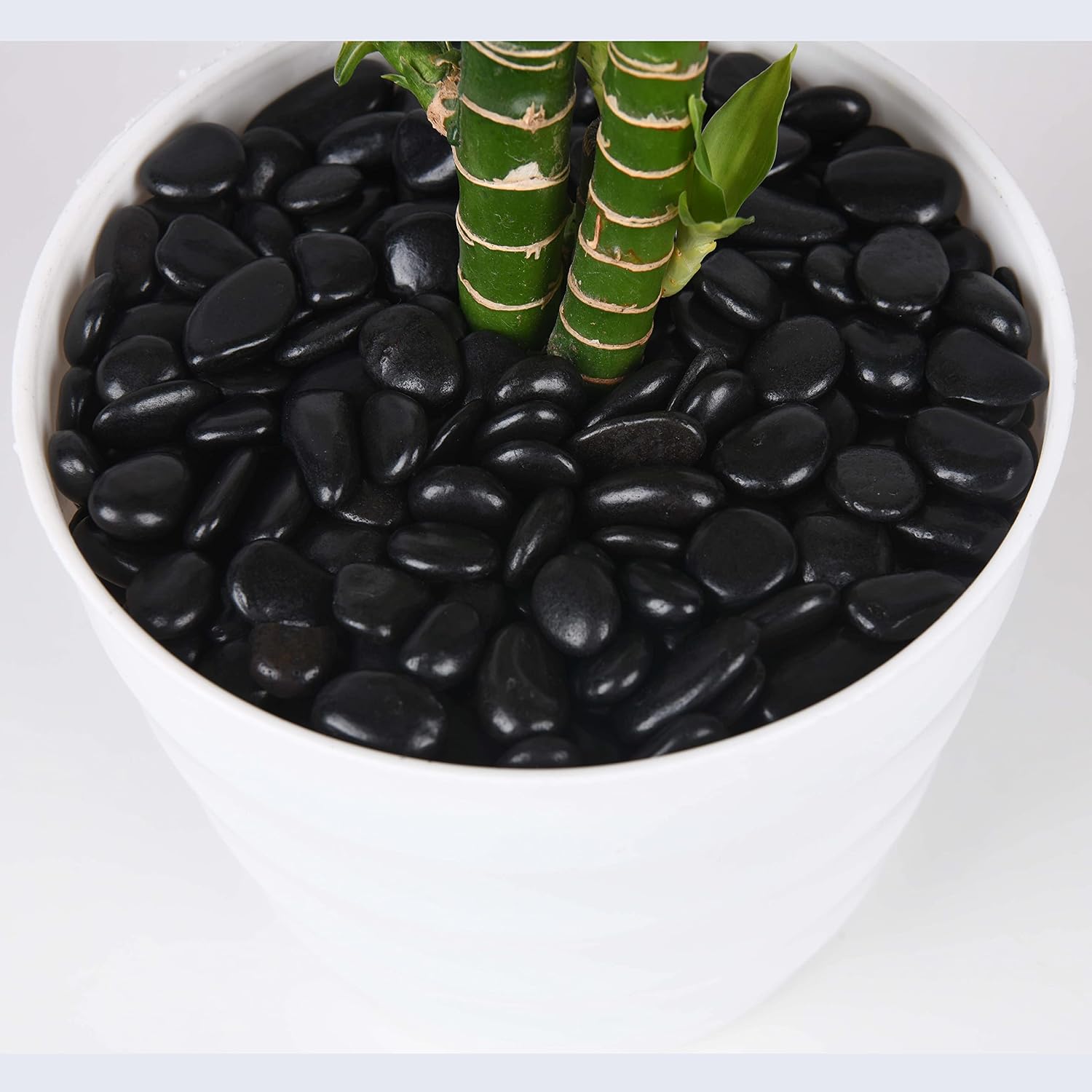 Detalle 2 de Hisredsun Decorative Black River Stones 3.96 lb 🪨