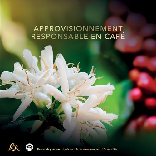 Detalle de L'OR Absolu Intensité 13 – Café en grains 1 kg