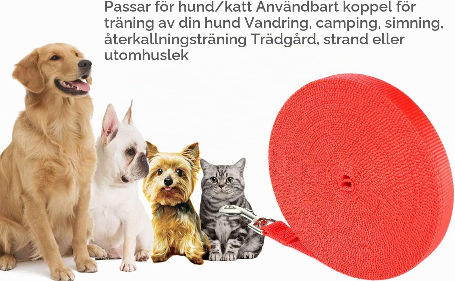 Detalle 2 de NavoX träningskoppel för hund, 5 m nylon, rött och 2 cm brett