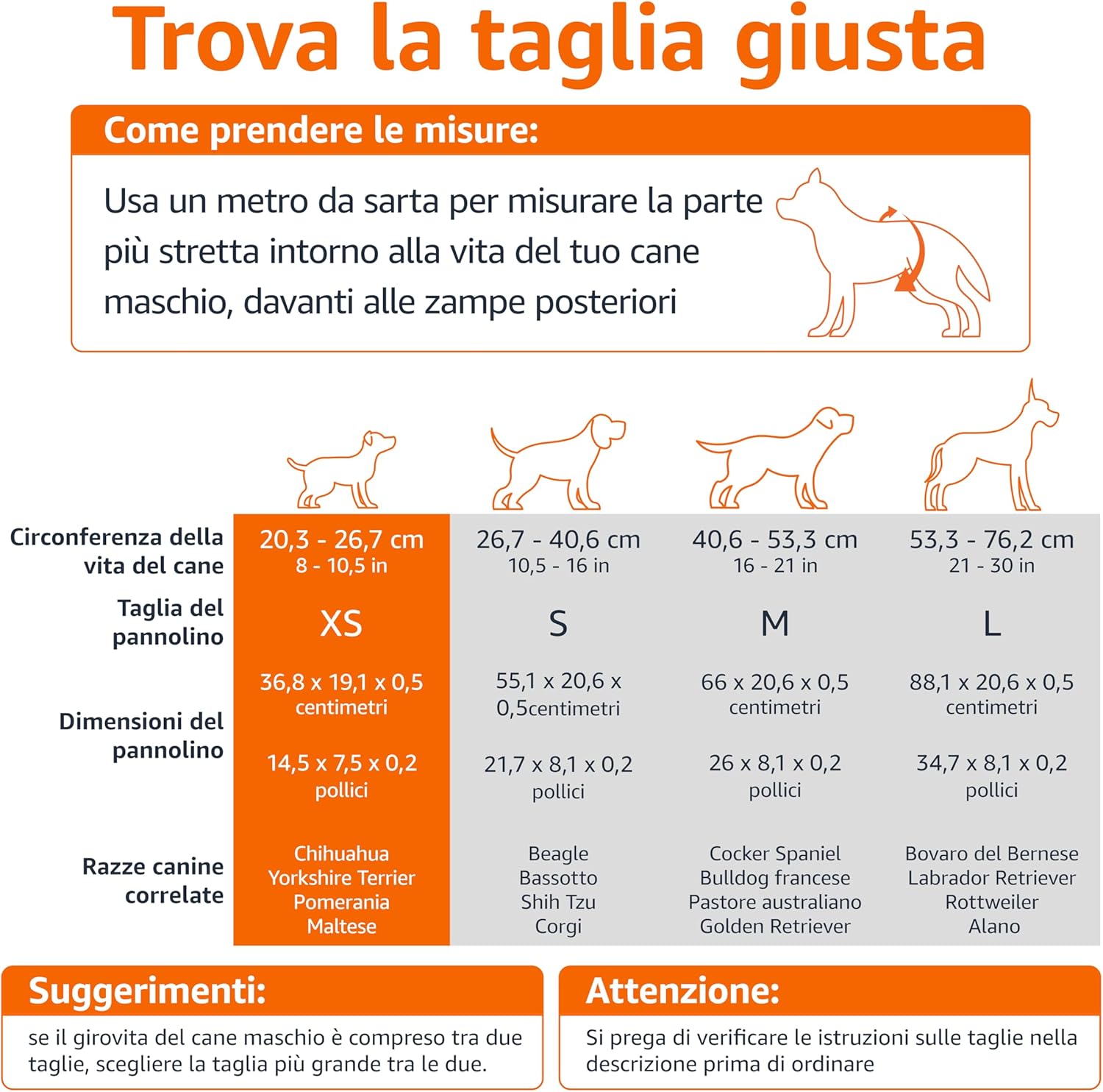 Thumbnail 3 de Amazon Basics Pannolini usa e getta per cani maschi XS – Confezione da 30