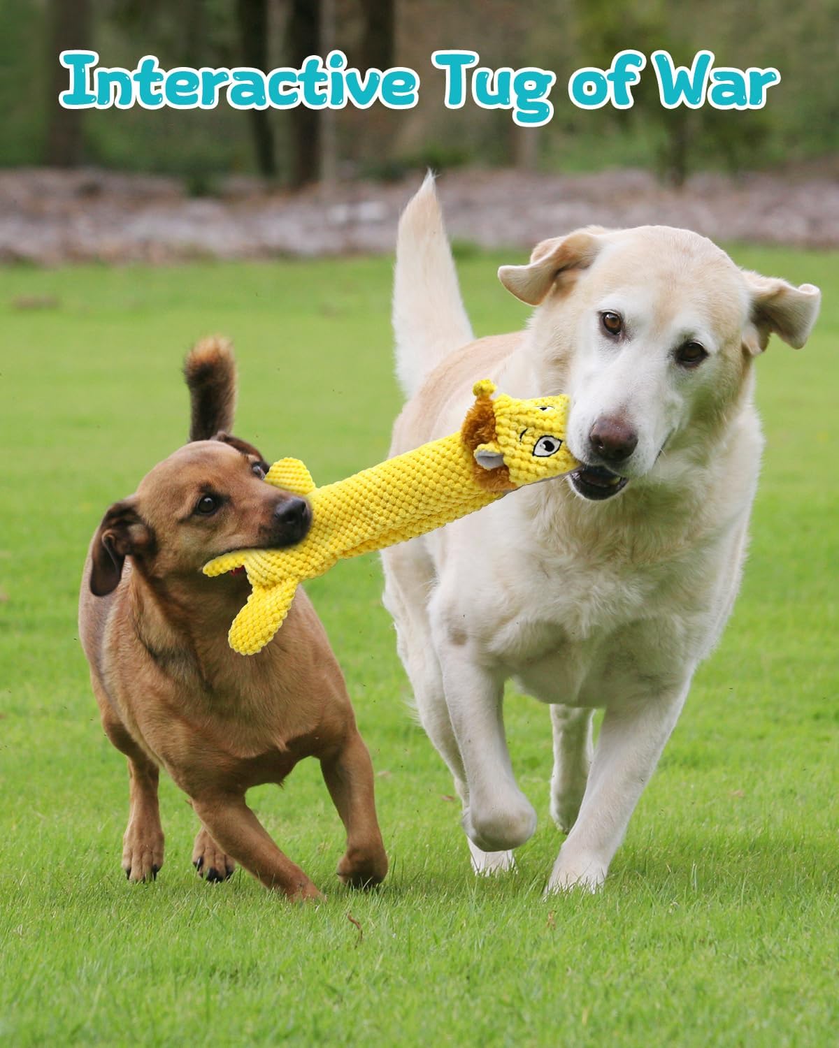 Thumbnail 6 de TONGKTAI Squeaky No Stuffing Dog Toys 3 Pack