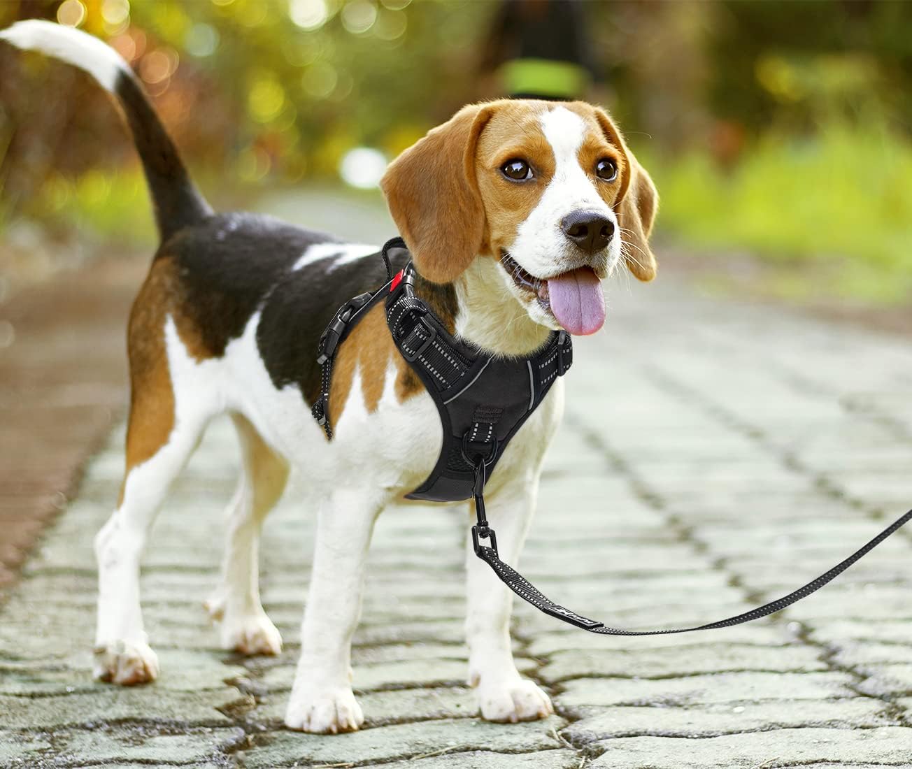 Thumbnail 4 de PoyPet Keine Pull Hundegeschirr Schwarz M