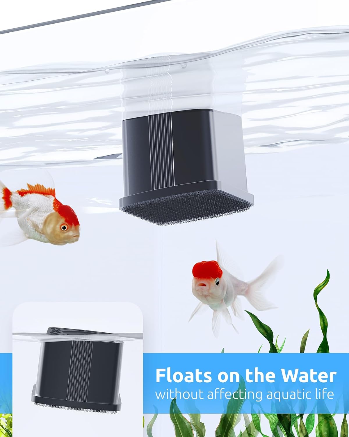 Detalle 2 de SEAOURA Aquarium Magnetic Cleaner with Digital Thermometer
