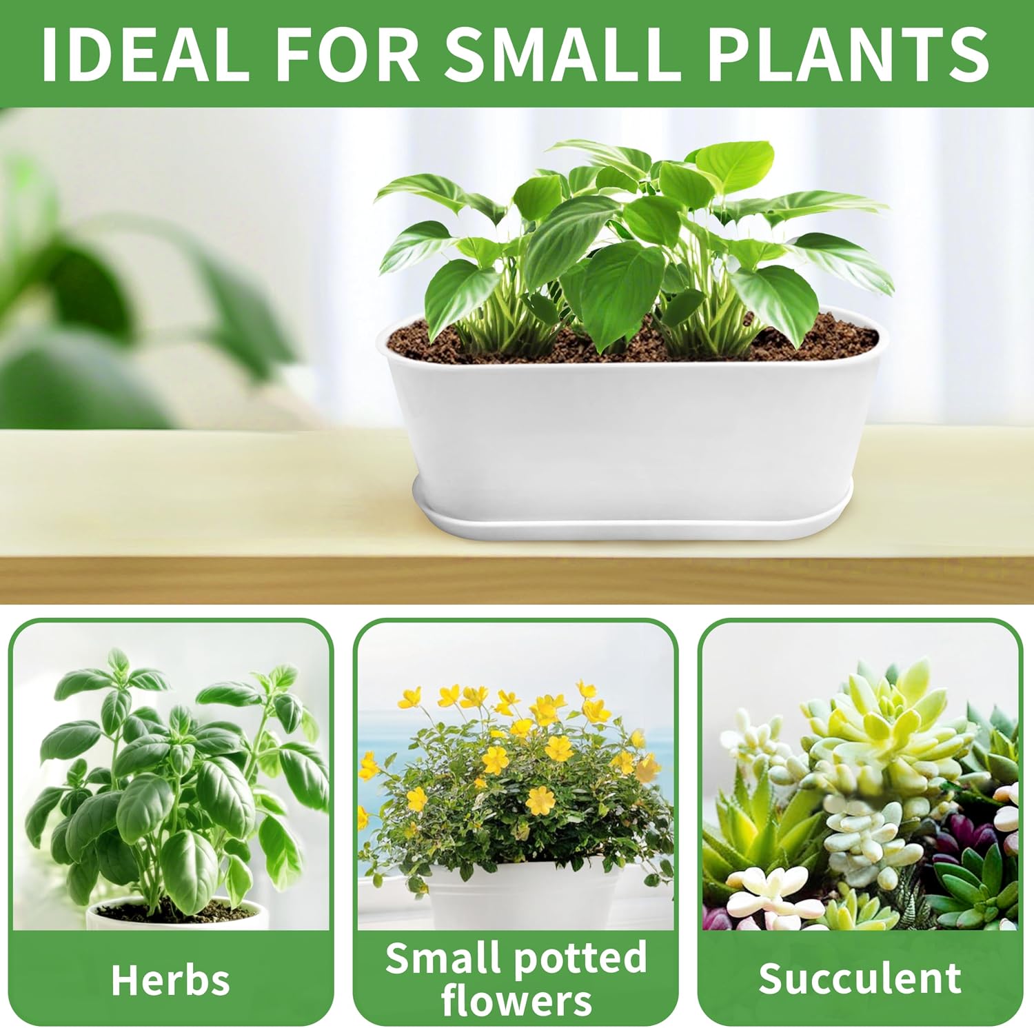 Detalle 2 de Torfican 8.5-Inch Window Box Planters, 5-Pack White Plastic Pots