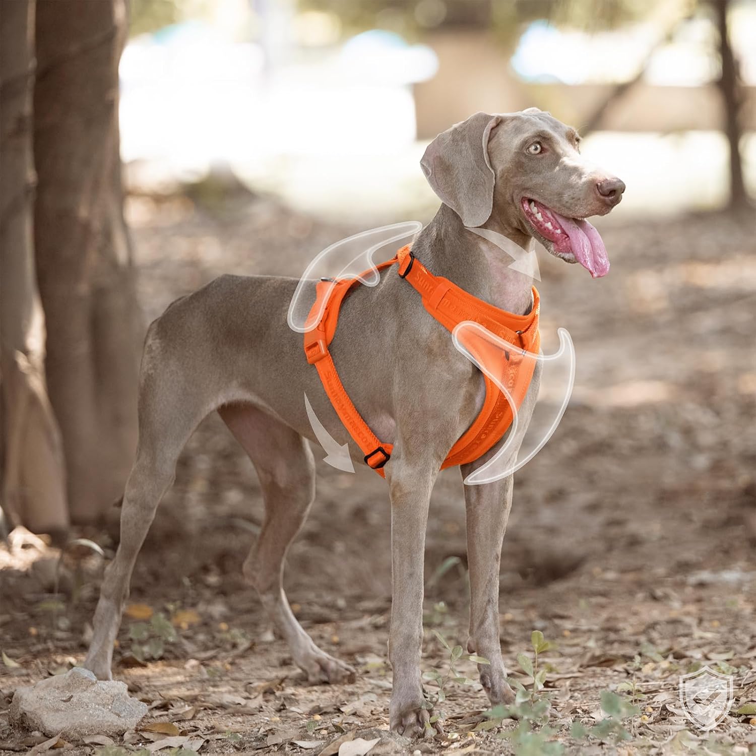 Detalle de Sunraymascota Pettorina per cani con imbottitura in lycra – traspirante, regolabile e sicura