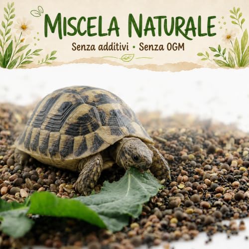 Detalle 2 de AF® Mix Semi per Tartarughe di Terra – Formulazione Lenta 40g | Tarassaco, Malva, Piantaggine | Erbe Selvatiche per Testudo Hermanni e Graeca