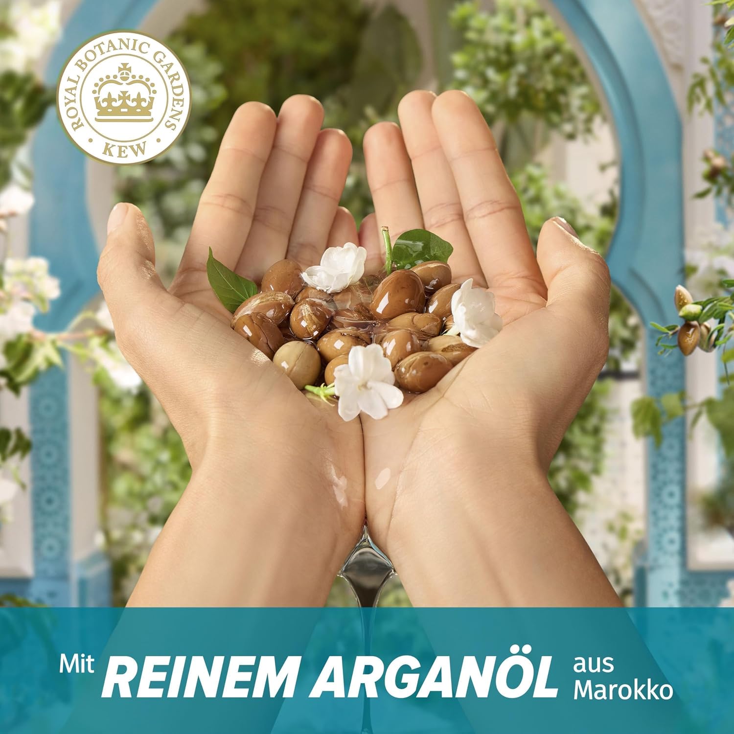 Detalle de Herbal Essences Repair Marokkanisches Arganöl Shampoo 650 ml – Intensive Pflege für geschädigtes Haar