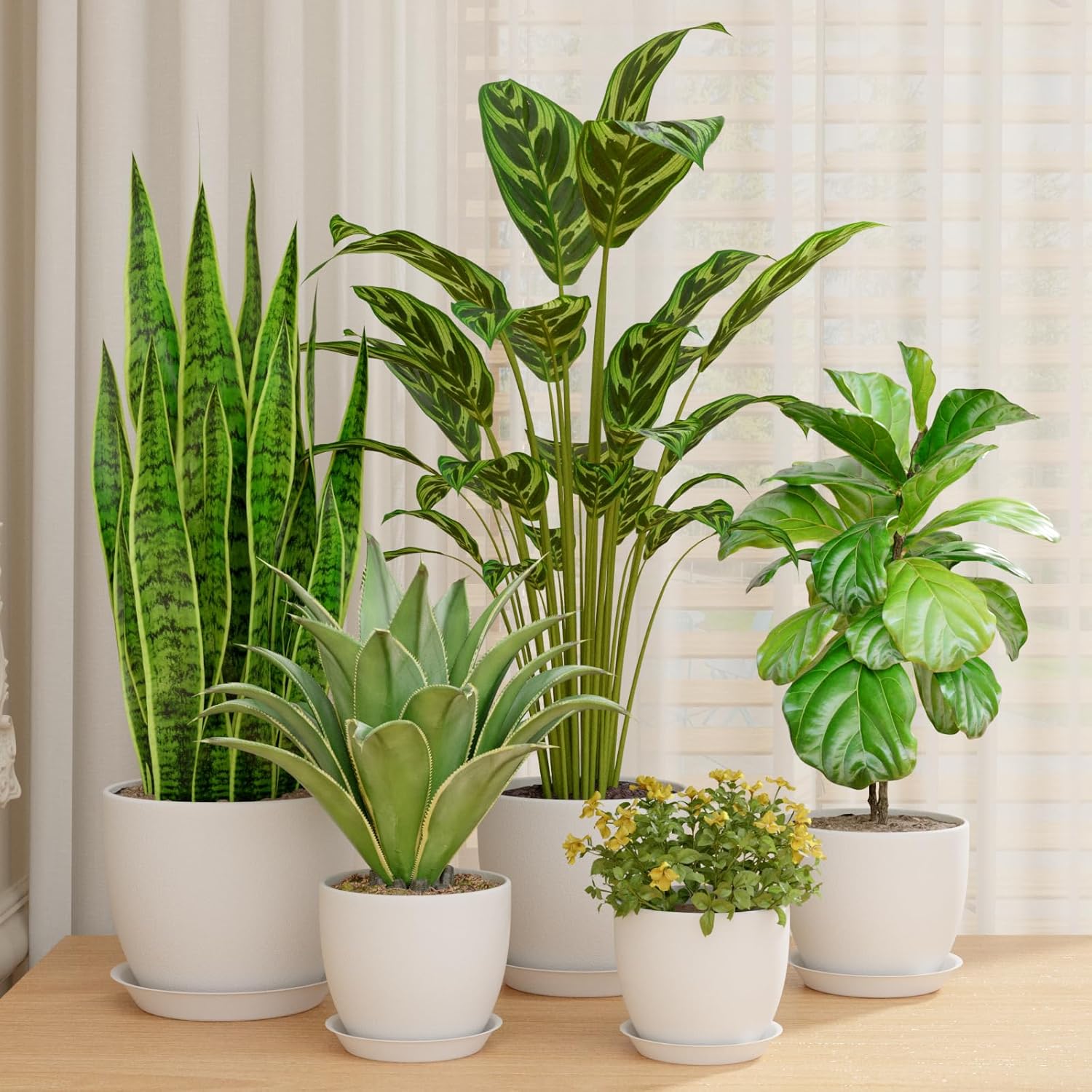 Thumbnail 1 de Bamworld 5 Pack Indoor Plant Pots with Saucers and Drainage Holes (White) – multi-size plastic planters