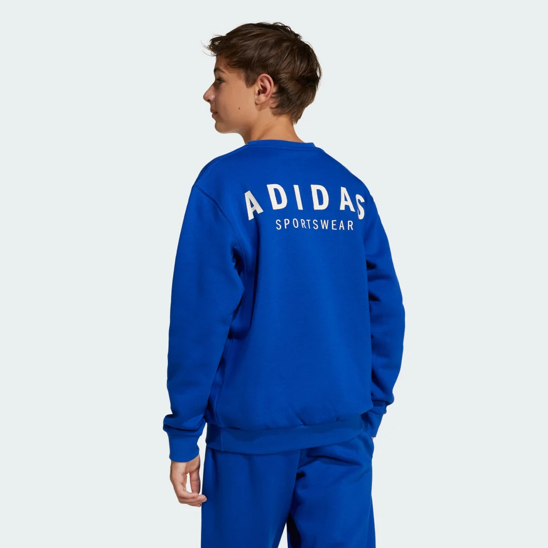 Detalle 2 de Sudadera All SZN Graphic cuello redondo para adolescentes de Adidas – color Azul