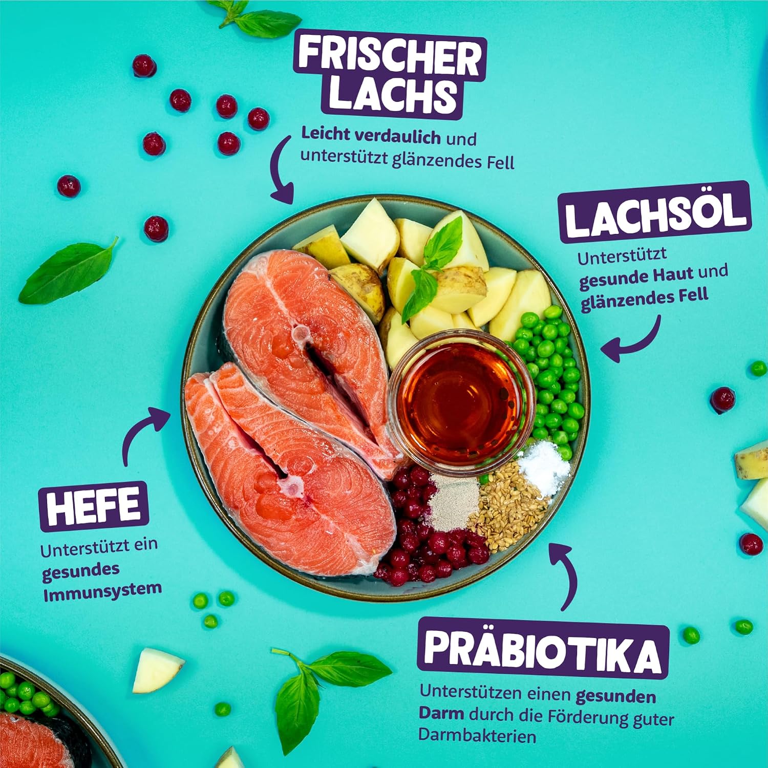 Thumbnail 1 de Edgard & Cooper Katzenfutter Trockenfutter mit Lachs – Getreidefrei, 2 kg, für erwachsene Katzen