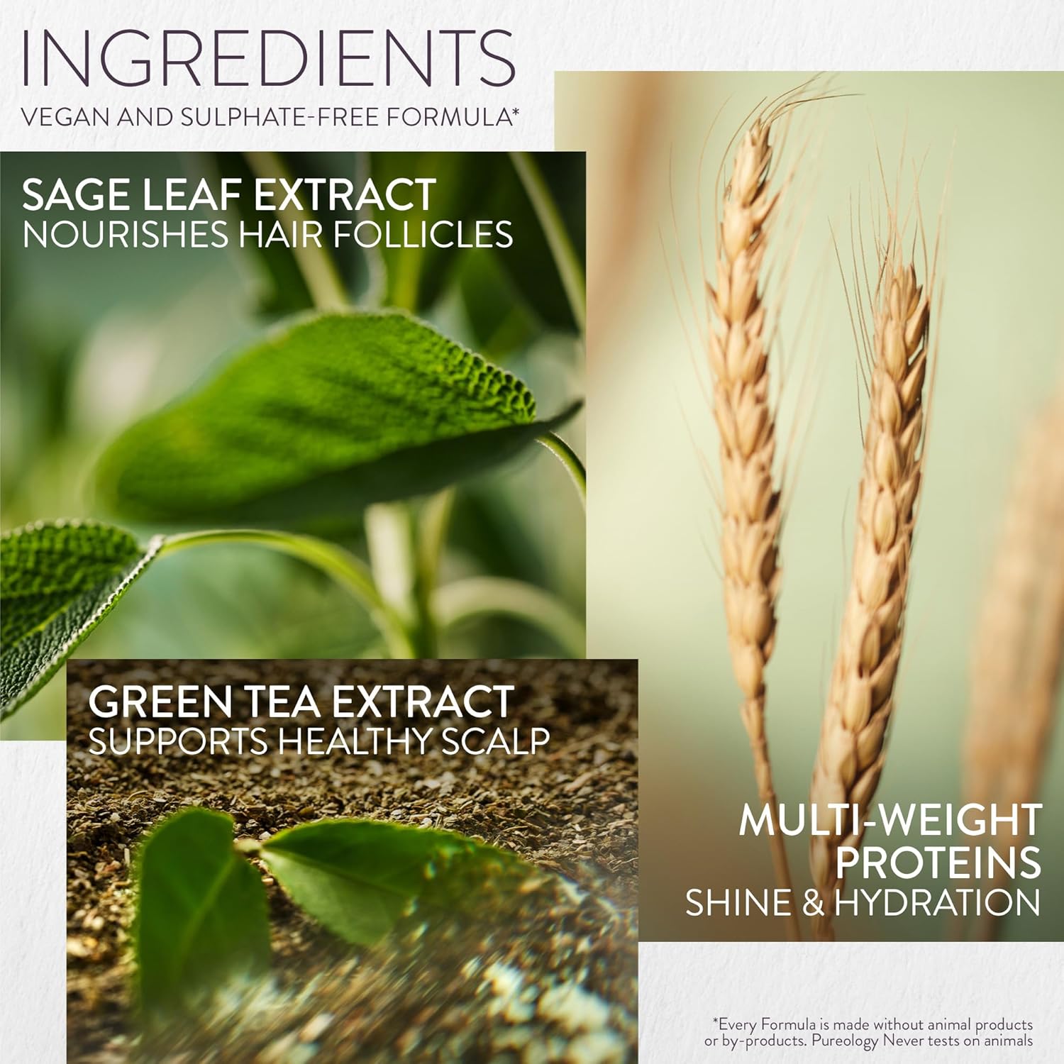 Thumbnail 6 de Pureology Hydrate Moisturising Conditioner (Sulphate Free, Vegan) 266ml for medium to thick dry, damaged & colour-treated hair