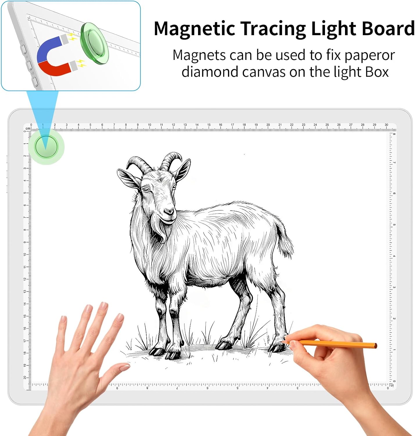 Detalle 1 de Phylosal Magnetic A4 Light Pad (Super Bright Light Box) for Tracing, Drawing & Diamond Art