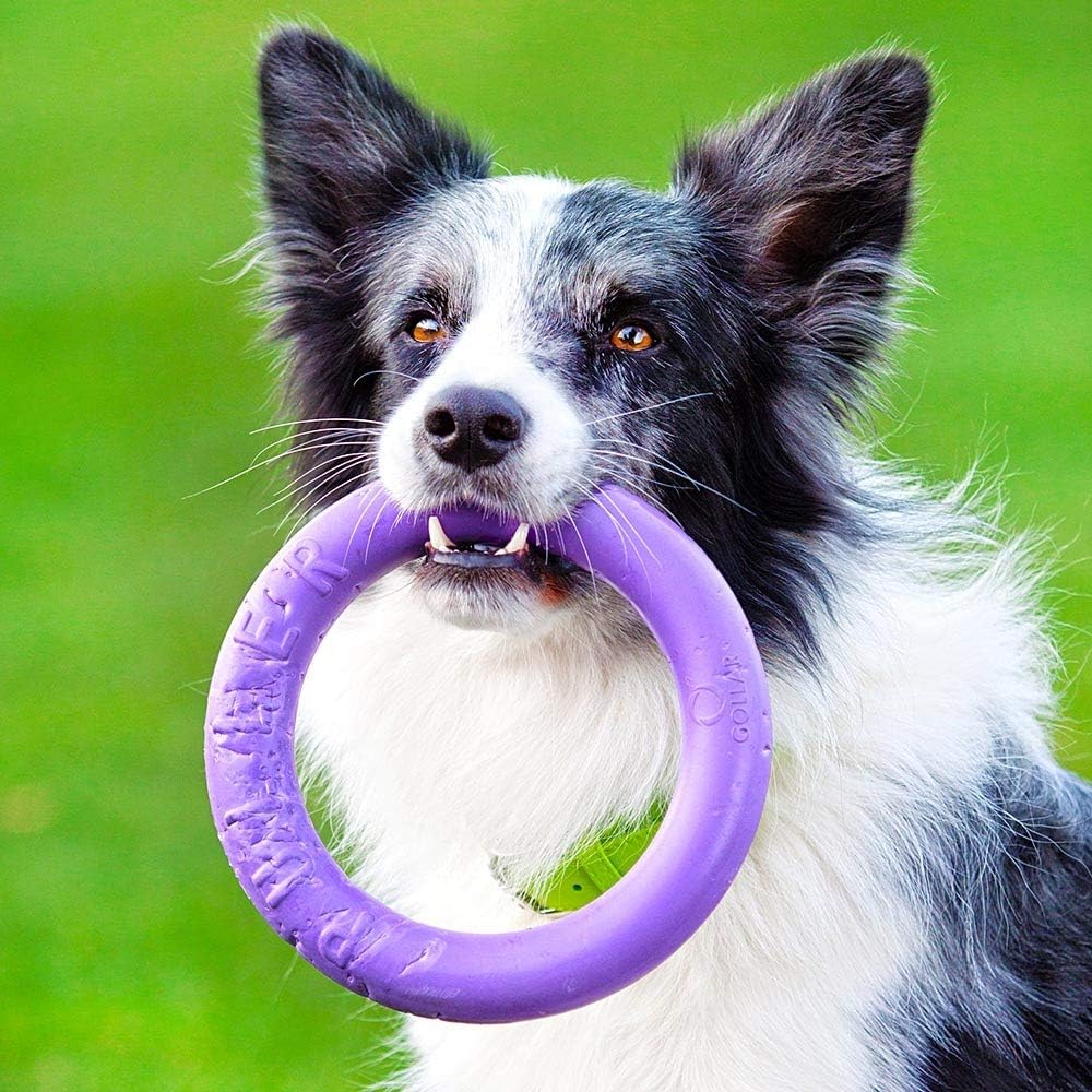 Thumbnail 4 de Ferplast Puller Midi anelli addestramento per cane 2 pezzi