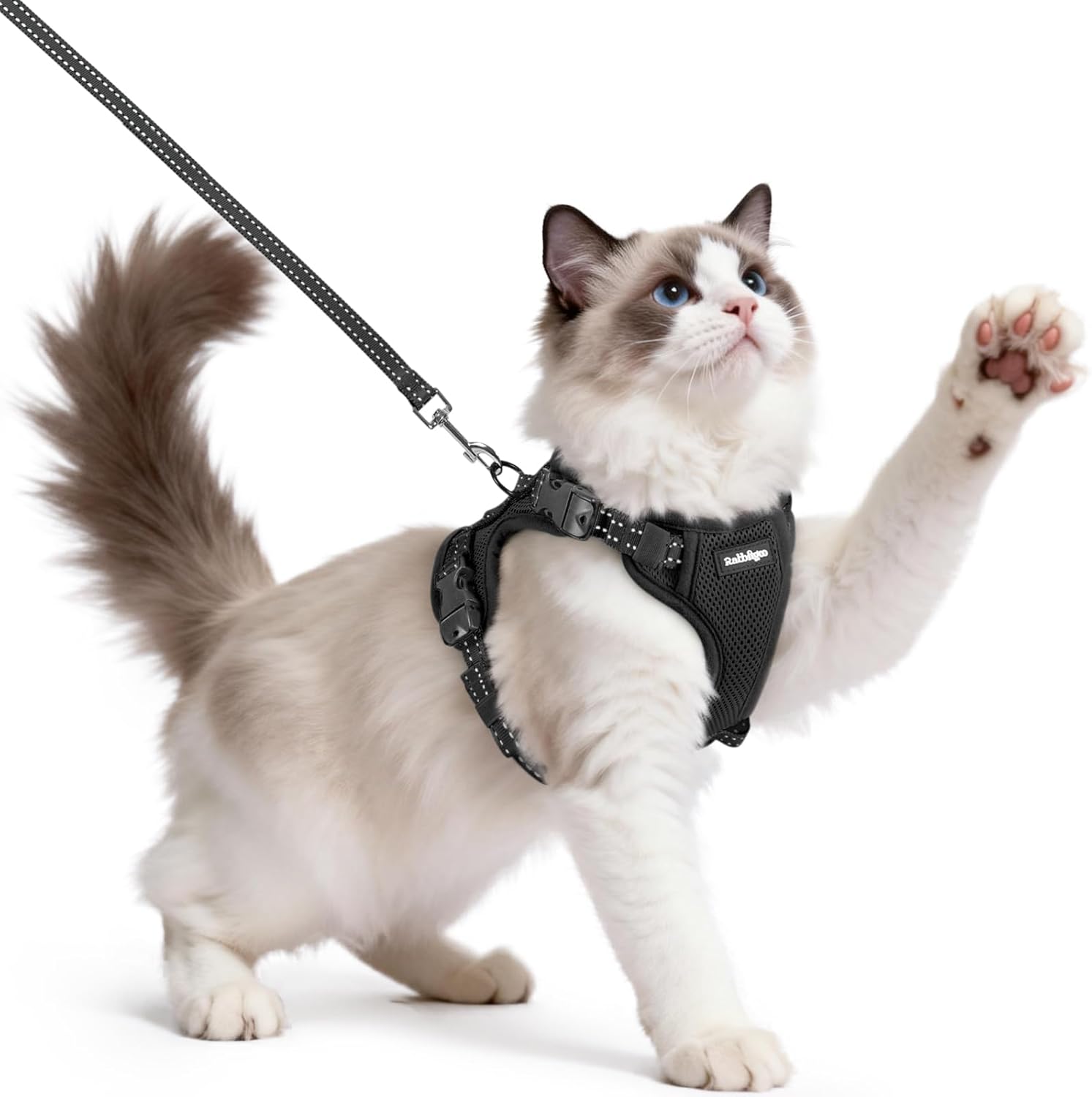 Detalle de Rabbitgoo Cat Harness and Lead Set (Medium–Large) – Escape-Proof, Easy-On Vest Harness with 1.5m Lead