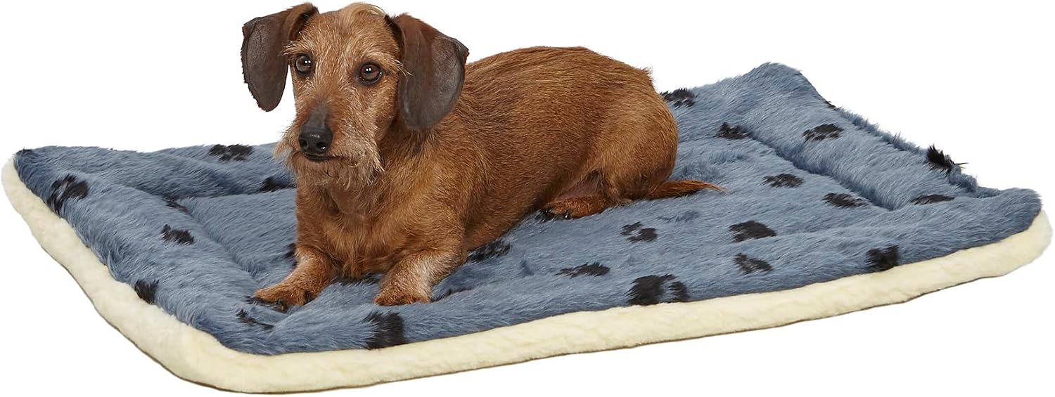 MidWest Homes for Pets QuietTime: Cuscino reversibile 76 cm Blu e Crema per cani di taglia media