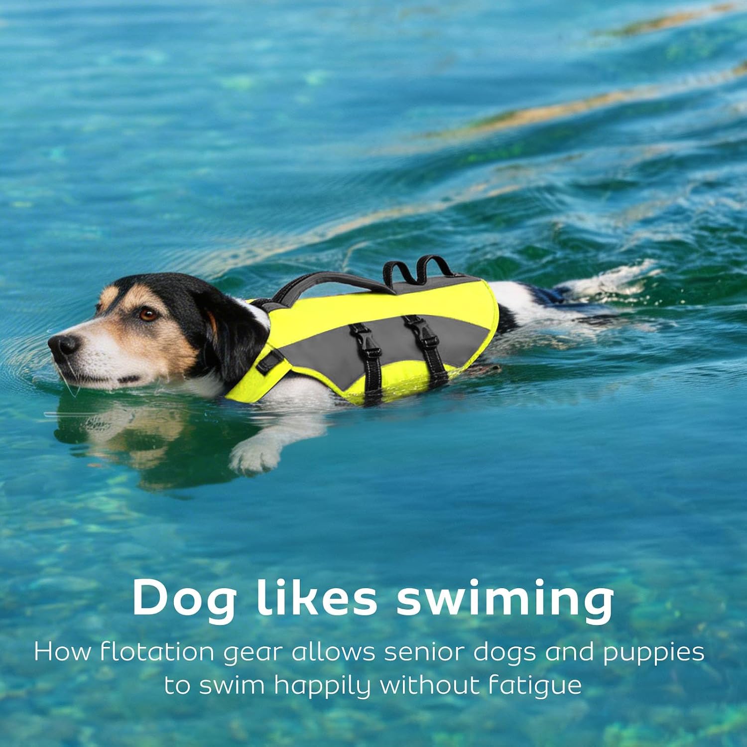 Detalle de CITÉTOILE Dog Life Jacket with Handle & Reflective Strips (Green, Size L) – Buoyancy Aid Vest for Water Activities