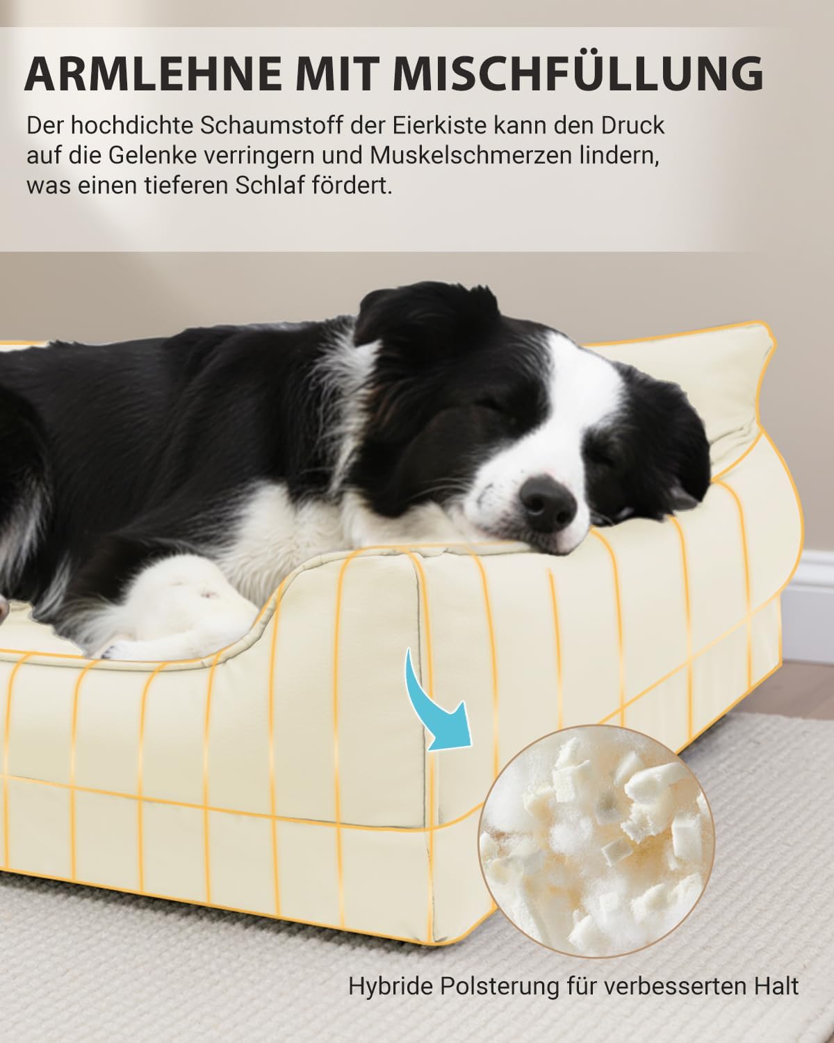 Thumbnail 4 de Favodormir Cuccia per cani da interno in ecopelle impermeabile con schiuma a uovo (taglia piccola) beige