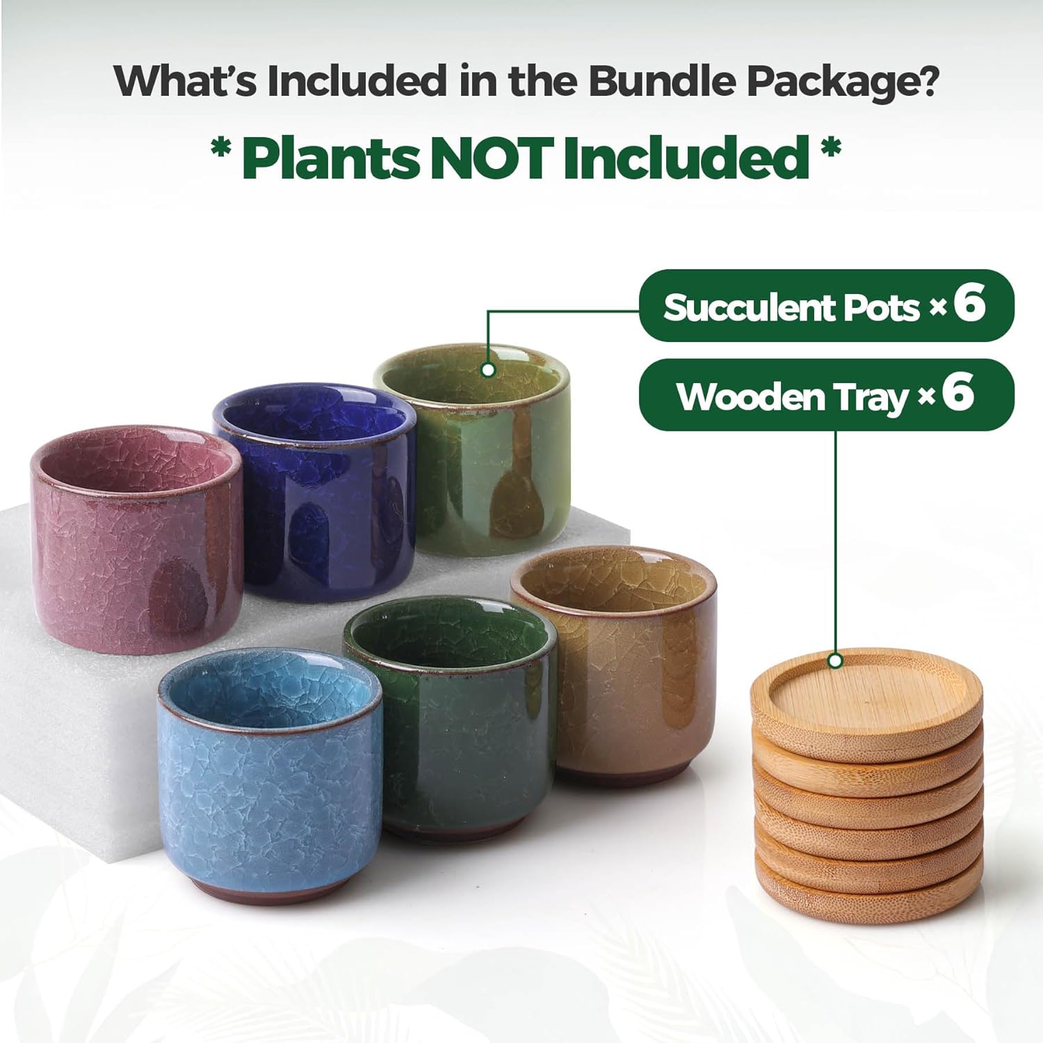 Thumbnail 3 de T4U 6cm Succulent Plant Pot Set of 6 🌱