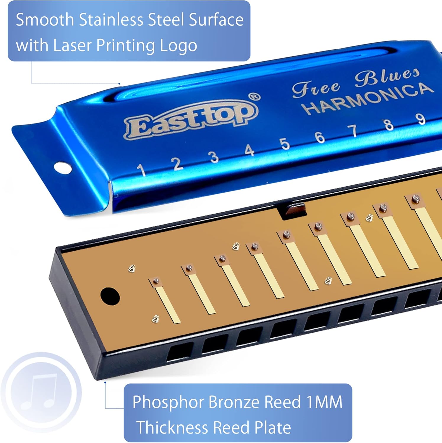 Thumbnail 2 de East Top Mundharmonika Blau 10 Löcher – Professionelle Diatonic Blues Harmonica in C