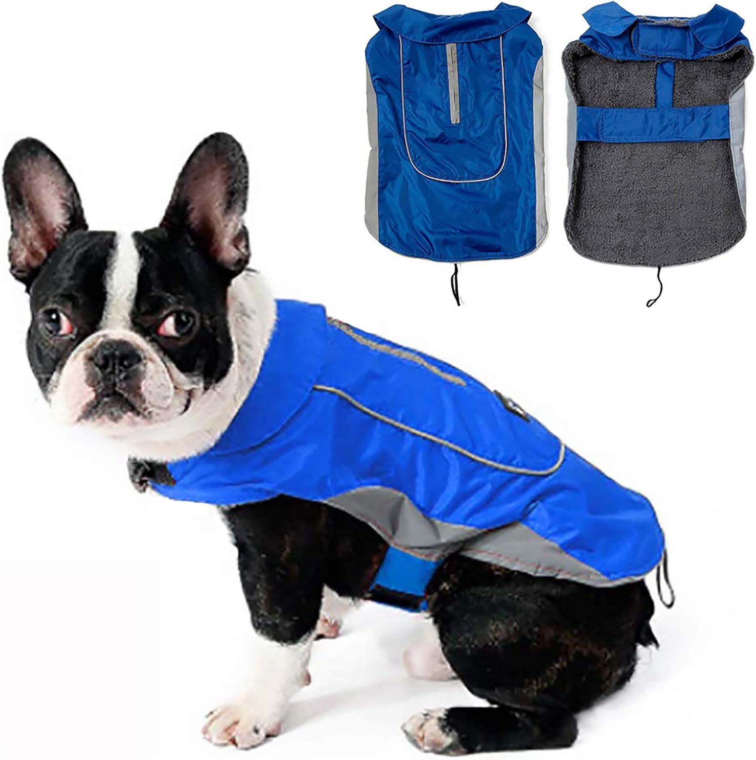 Detalle de Morezi Dog Warm Coats & Jackets – Waterproof Coat with Harness Hole (XS) in Blue