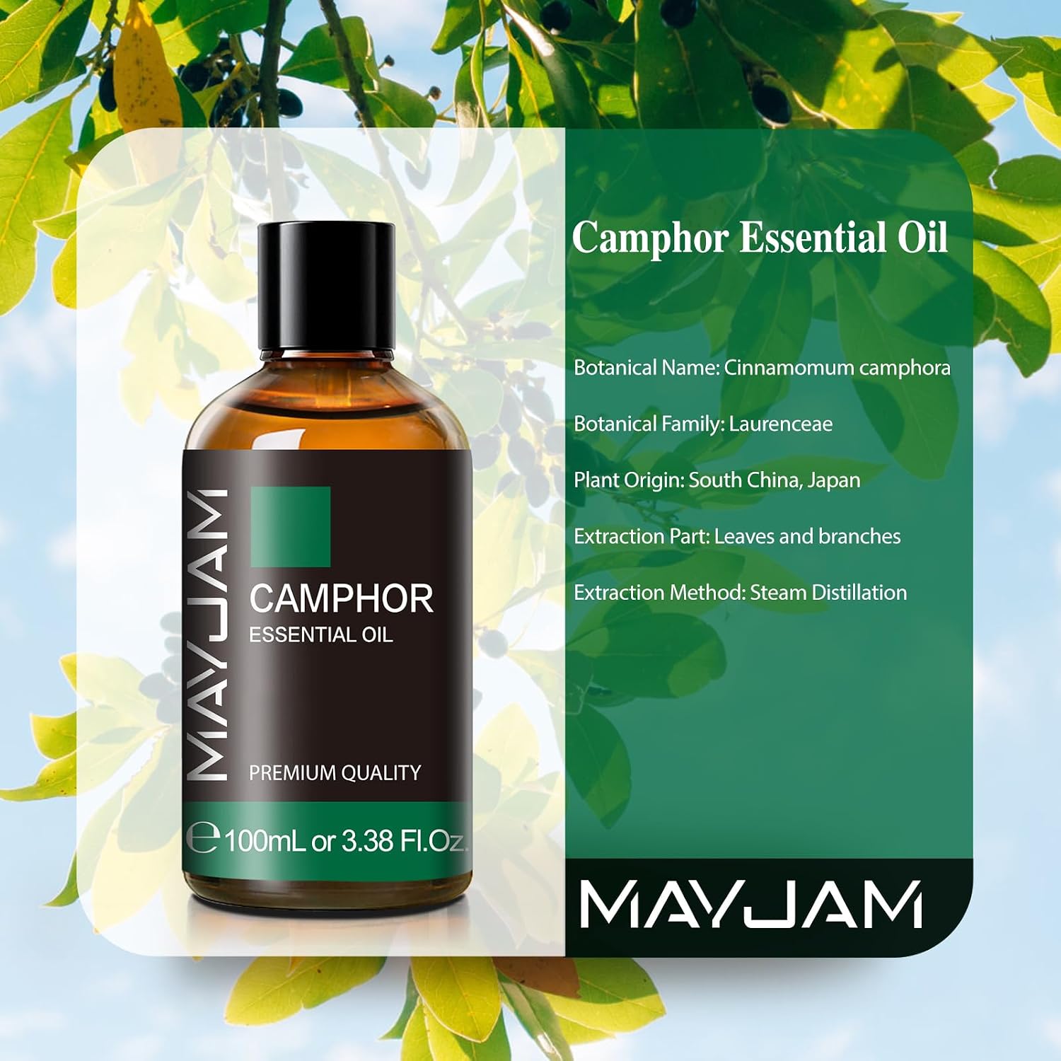 Thumbnail 1 de MAYJAM Camphor Essential Oil 100ml: A Practical Look for Diffusers, Humidifiers and DIY