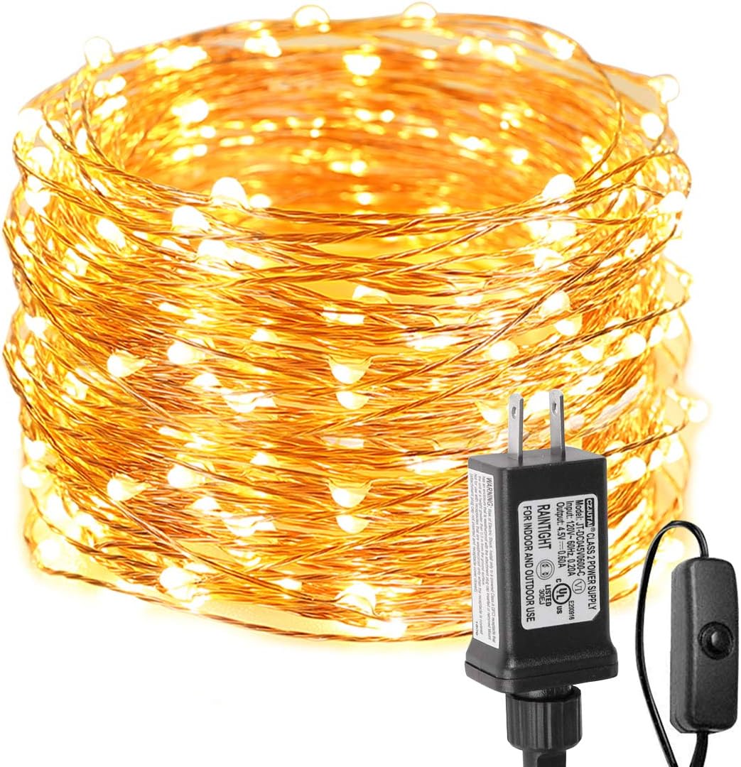 Detalle de Lepro 4300017-WW-US Fairy Lights, 66 ft, 200 Warm White LEDs, IP65