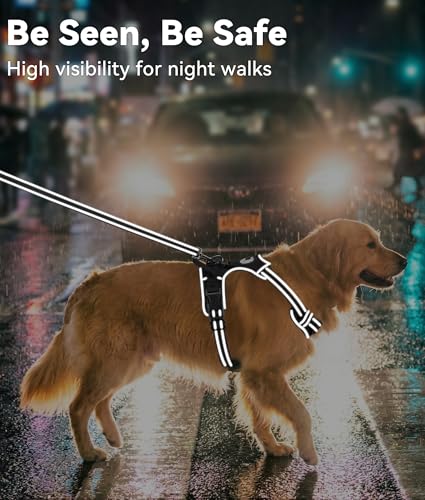 Detalle de Joytale Anti-Traction, harnais pour chien taille M noir, réglable et réfléchissant