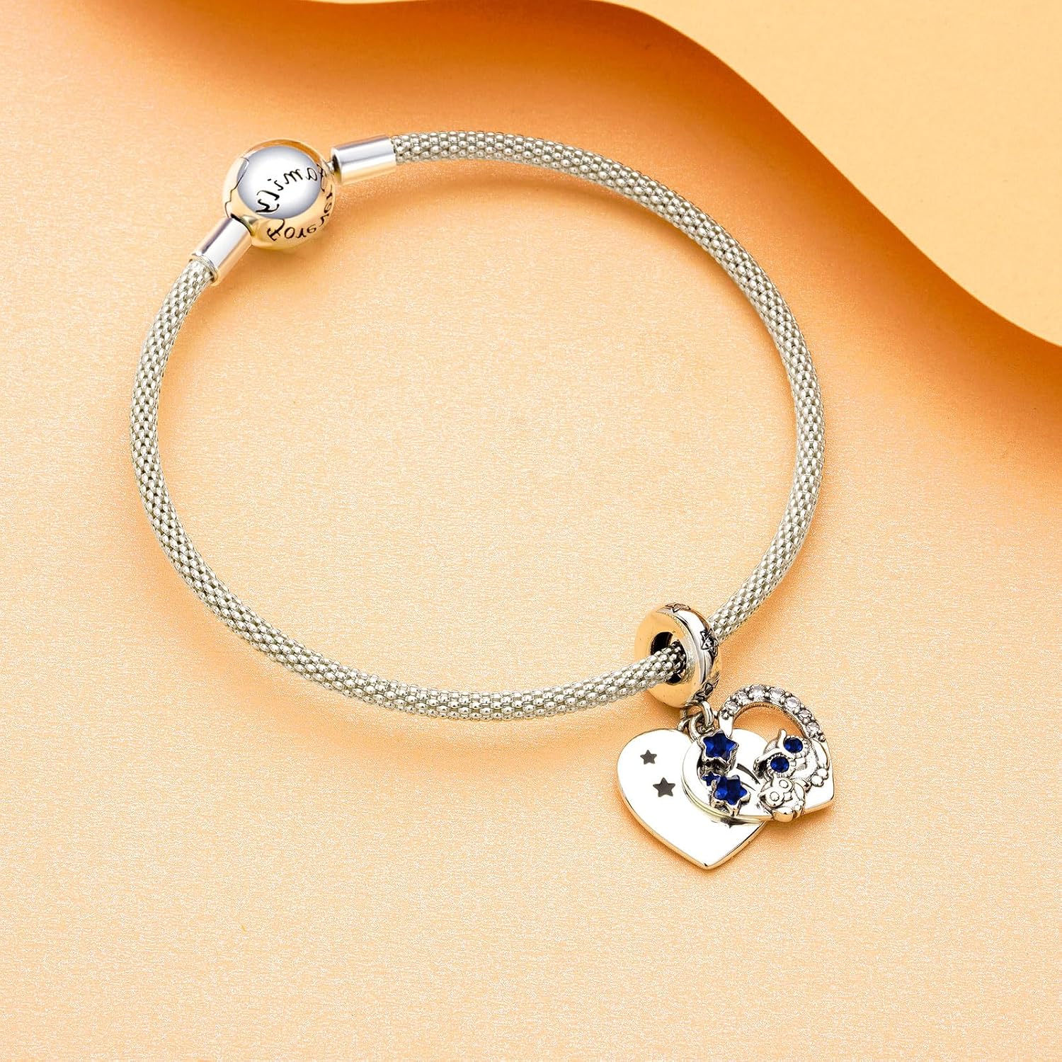 Detalle de Rimgoris Plata de Ley 925 Charm para pulsera 🌙