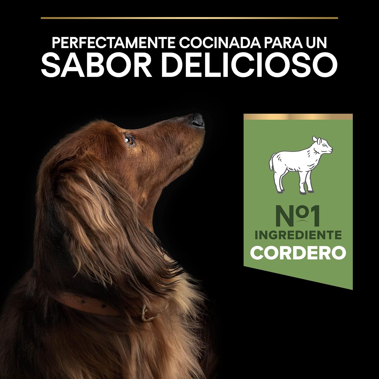 Thumbnail 2 de Purina Pro Plan Small Digestion, Pienso para Perro Mini, 4x3kg
