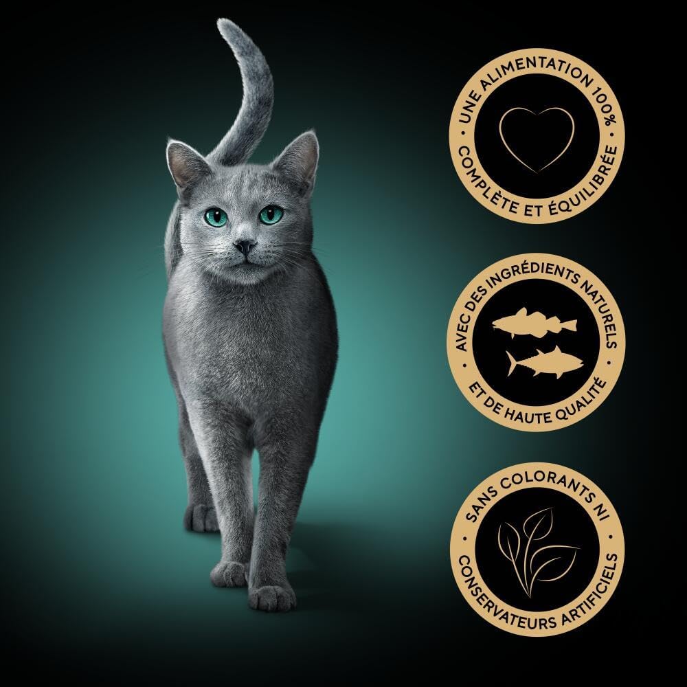 Thumbnail 2 de Sheba Délices du Jour Sachets Fraîcheur pour chat adulte – Sélection aux poissons en sauce (pack 12)