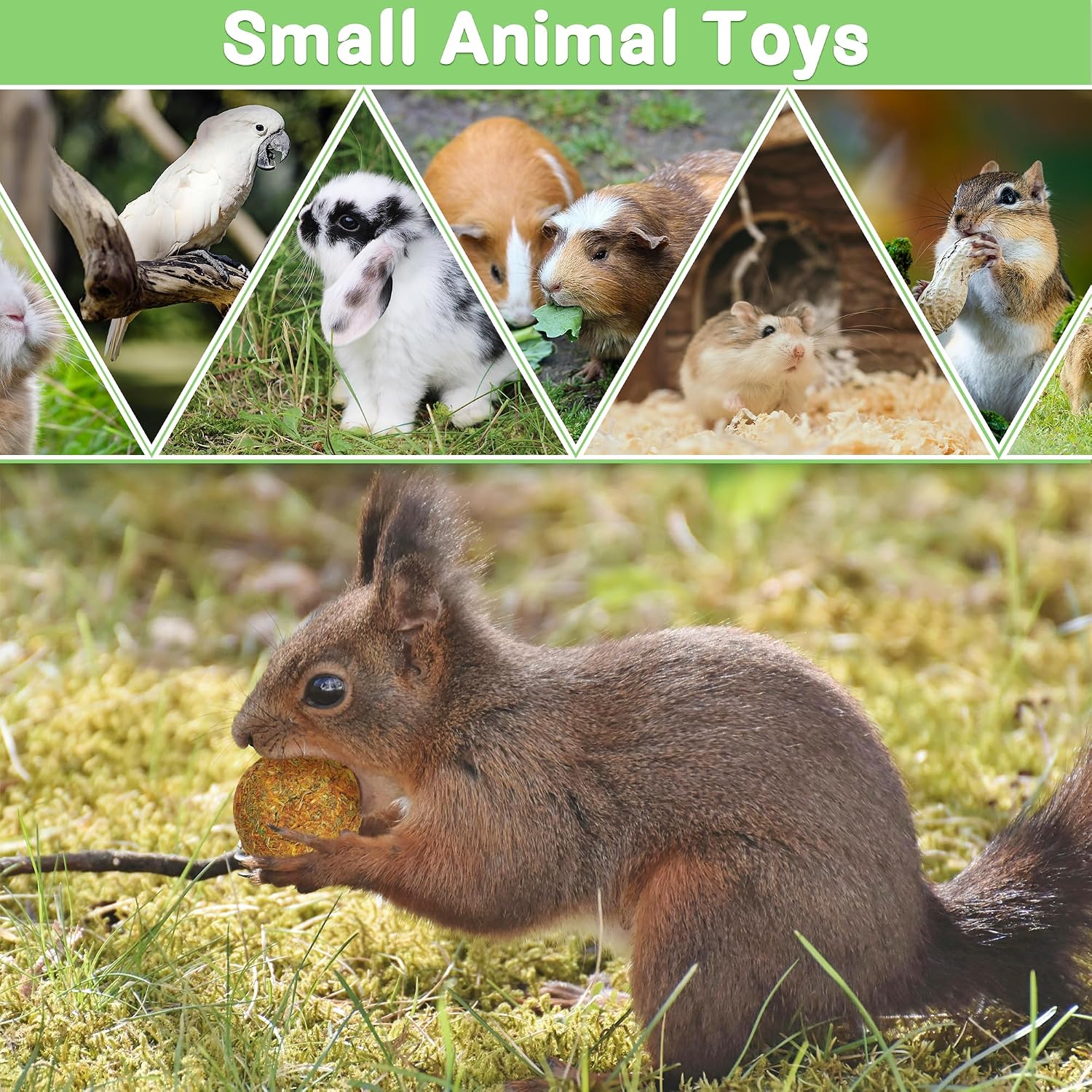 Detalle de Ousiya : Lot de 21 Jouets à mâcher naturels pour Lapin et Petits Animaux – Bâtonnets de Foin Timothy et Bois de Pommier
