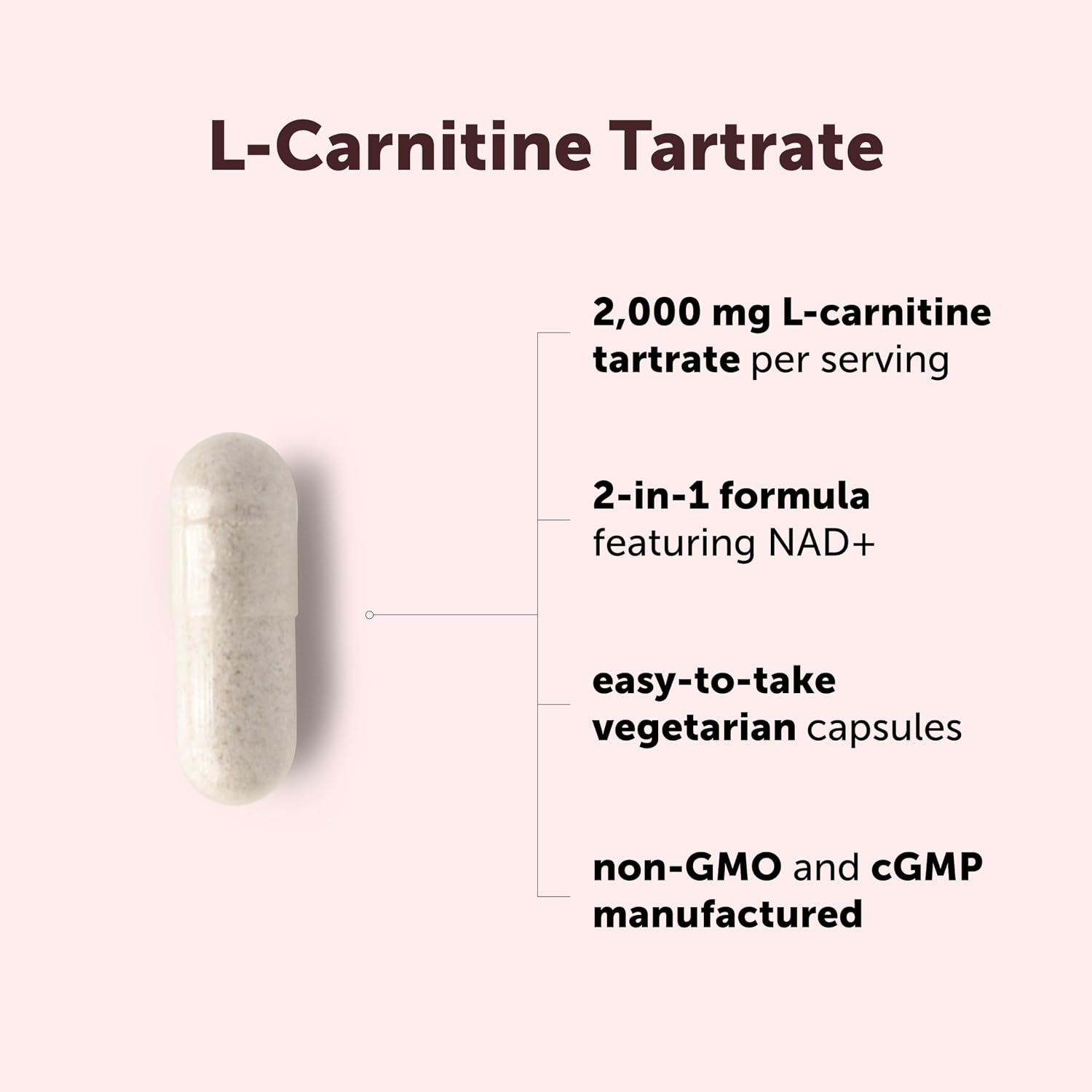 Detalle de Micro Ingredients L-Carnitine Supplement 240 Capsules