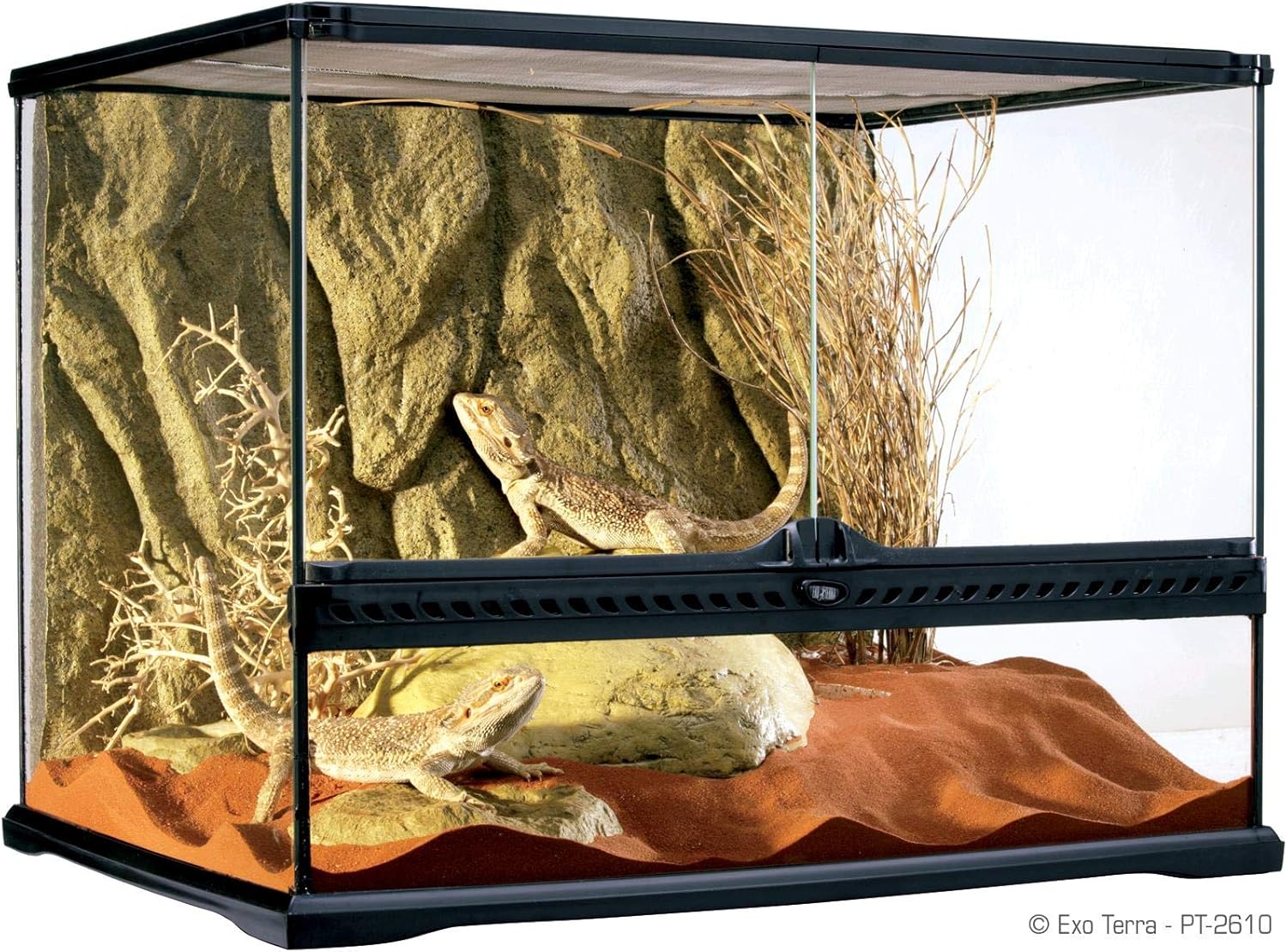 Detalle de Exoterra Terrarium en Verre pour Reptiles et Amphibiens 20 x 20 x 30 cm