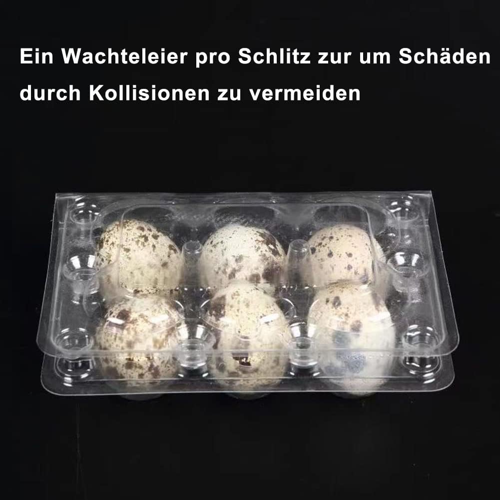 Detalle de Qikaara 50er Set Wachteleierschachteln aus Kunststoff (6 Gitter) – transparente Quail-Egg-Kartons