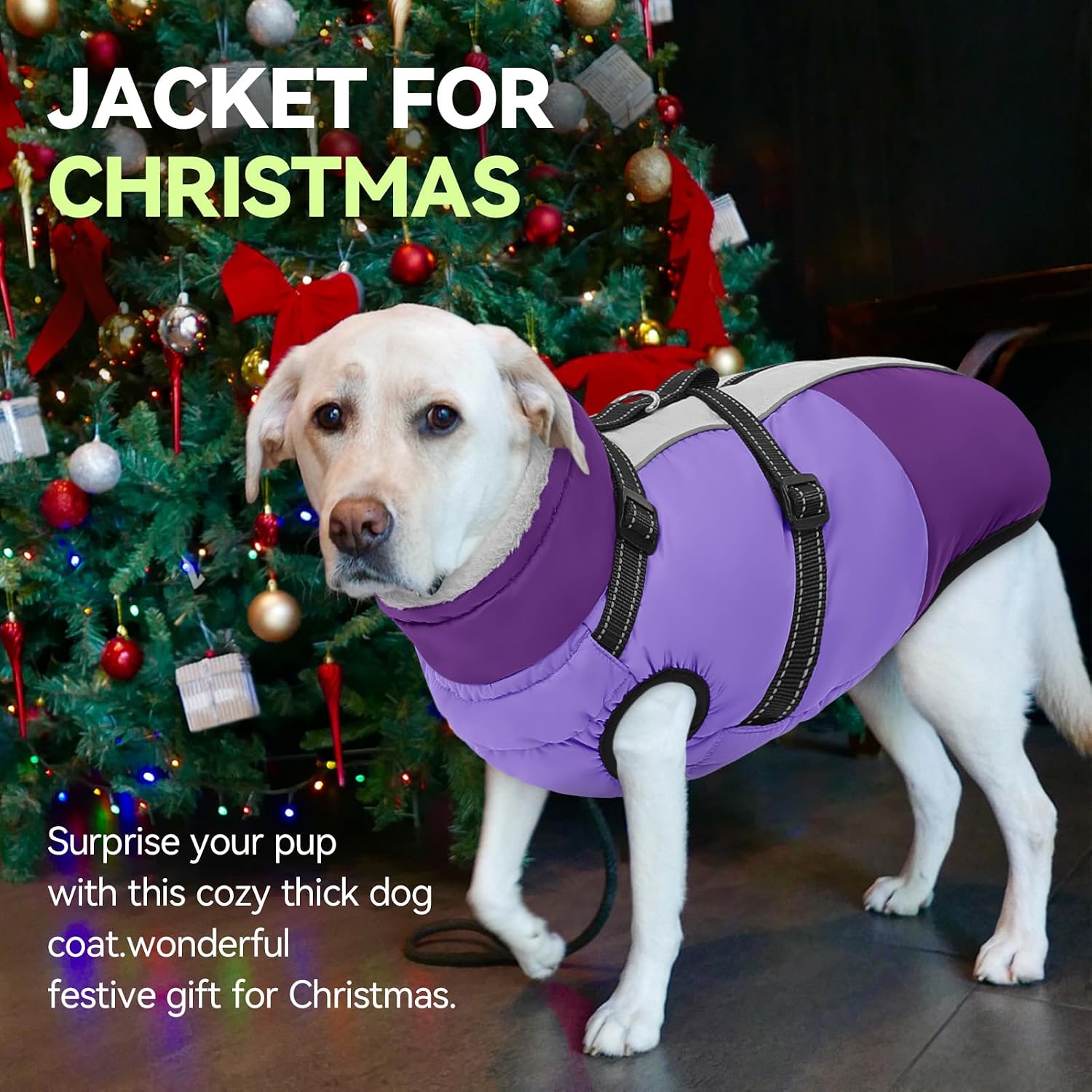 Detalle 2 de SUNFURA Dog Coat, Size S