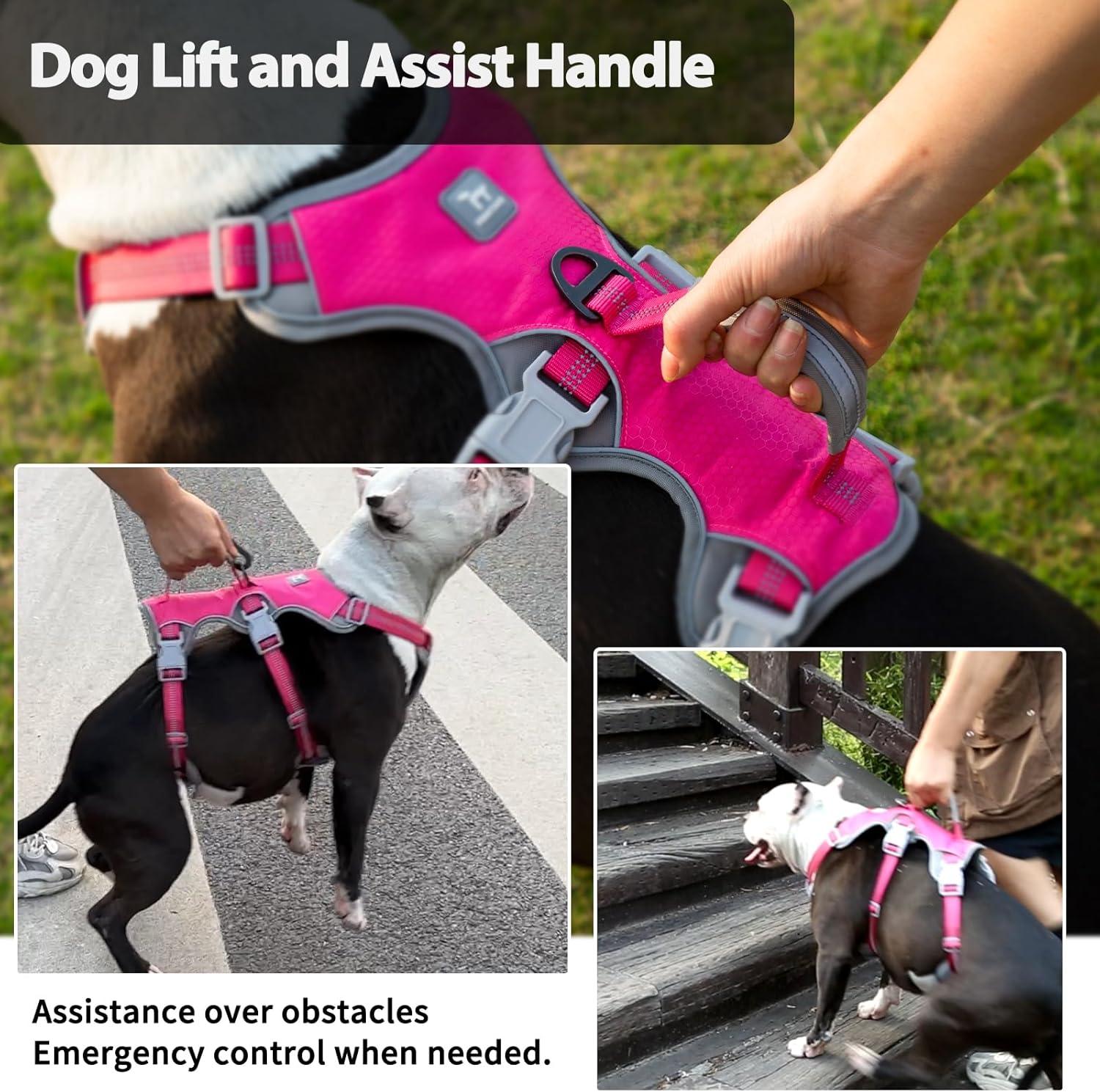 Thumbnail 3 de Huntboo Escape Proof Dog Harness (Medium, Rose Red, Size L) with Handle for Large Dogs
