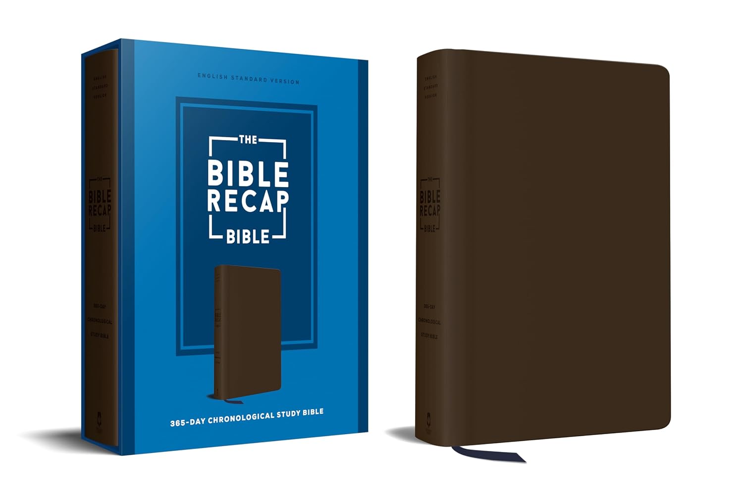 Detalle de The Bible Recap 365-Day Chronological Study Bible, ESV, Imitation Leather