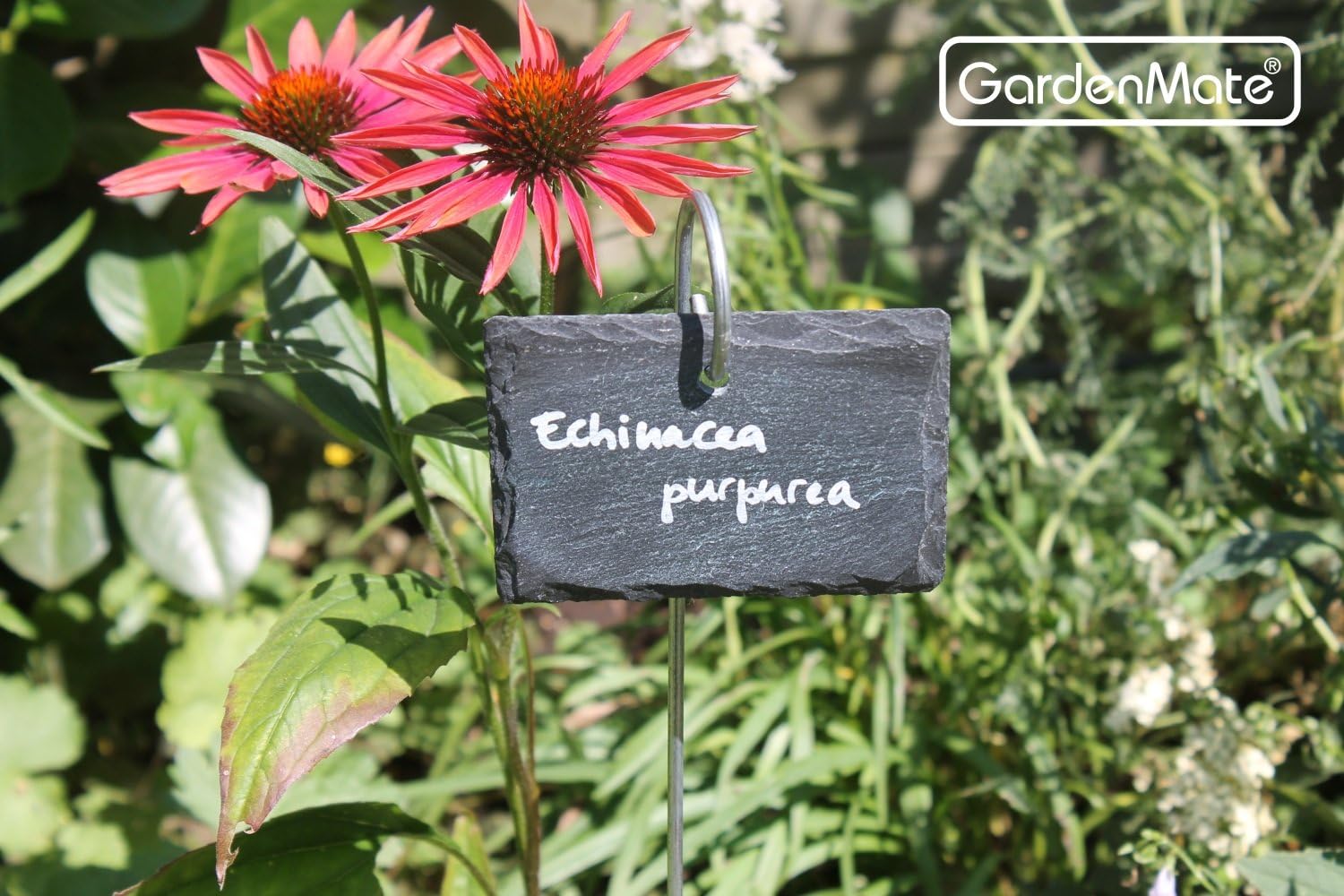 Detalle de GardenMate Set di 10 Etichette per Piante in Ardesia con Sbarre di Metallo – Stile Naturale