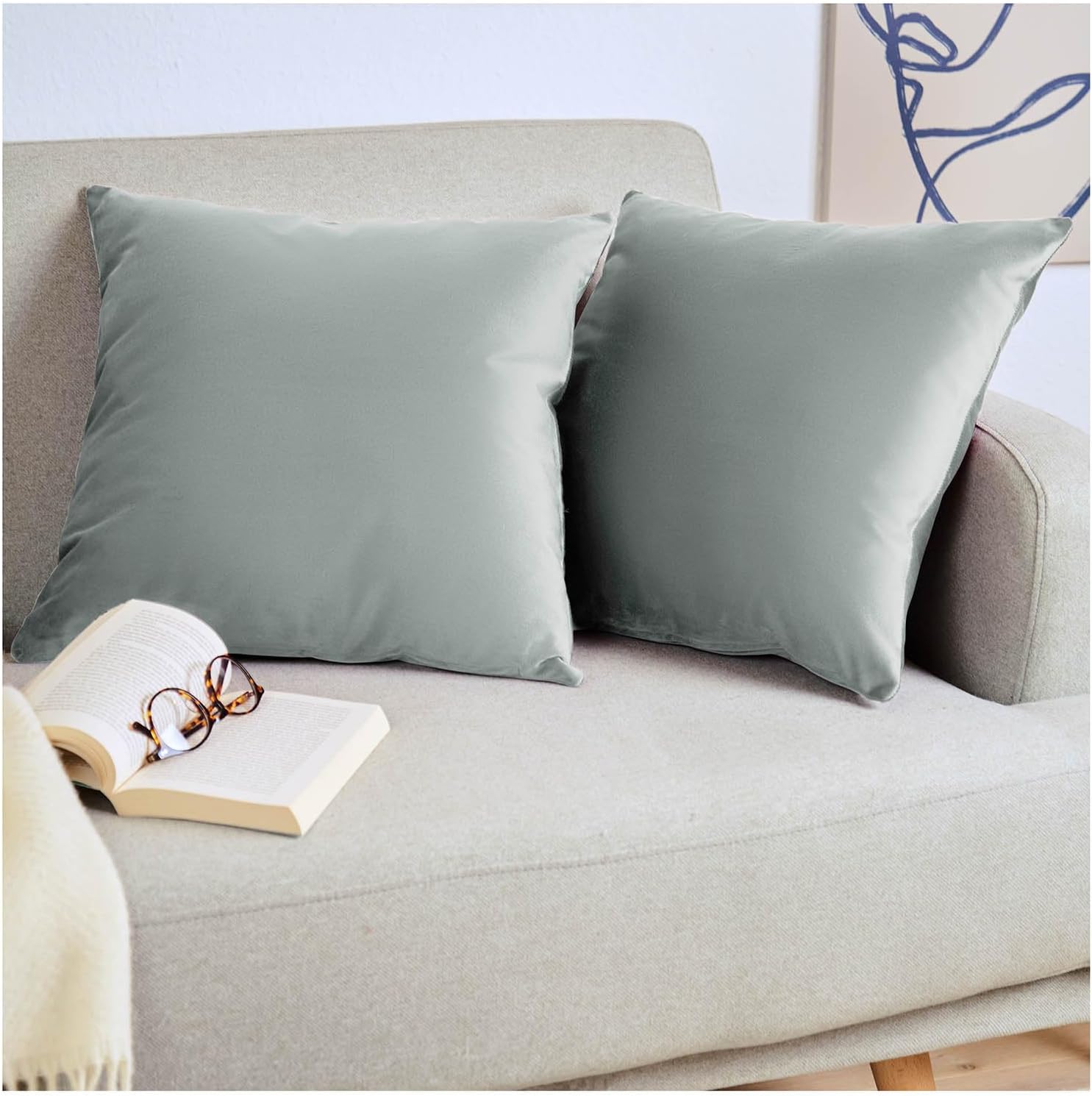Detalle de Blumtal Housse de Coussin canapé - Lot de 2, Velours gris 40x60 – certifiée Oeko-Tex