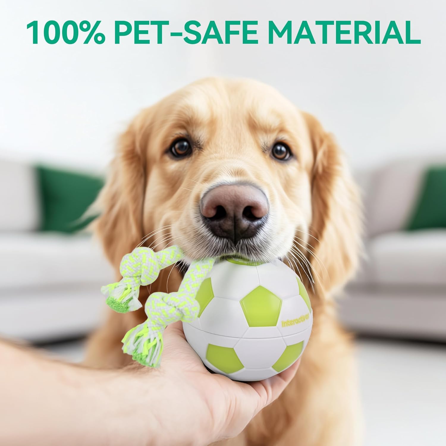 Thumbnail 4 de ALL FOR PAWS Interactive Ball with LED Lights: Motion-Activated Dog Toy for Boredom, USB Rechargeable